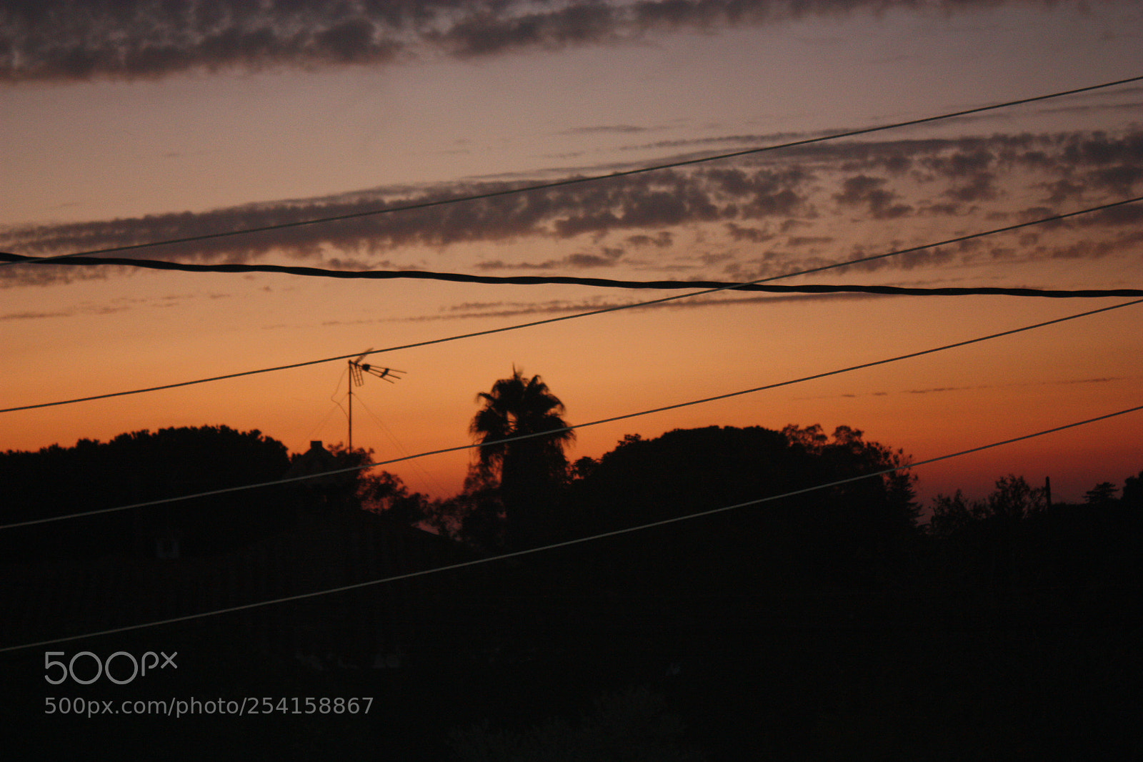 Canon EF-S 18-55mm F3.5-5.6 IS sample photo. Untitled photography