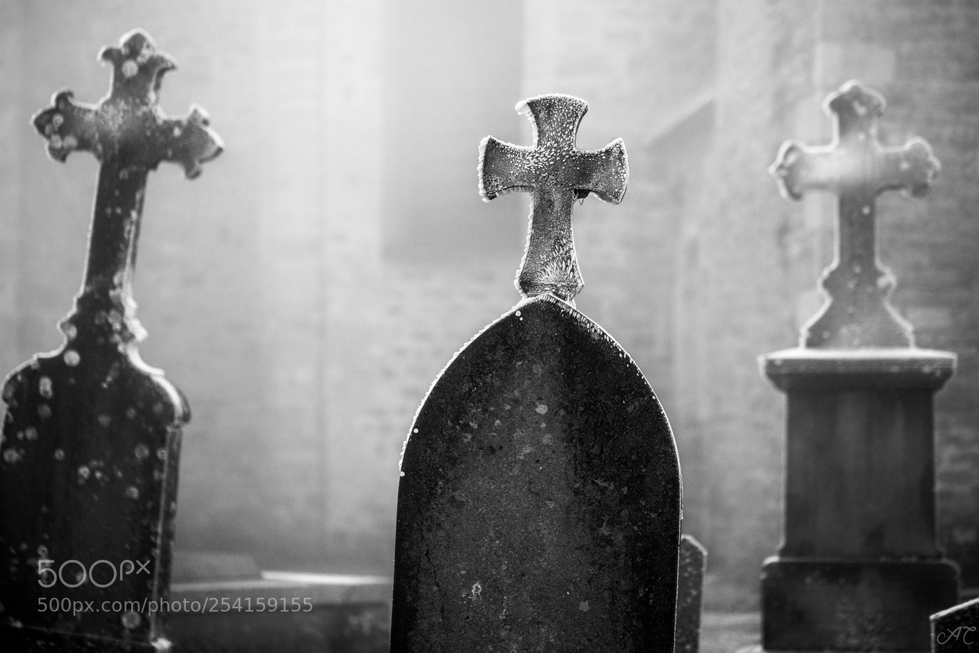 Nikon D800 sample photo. Tombstones in fog photography