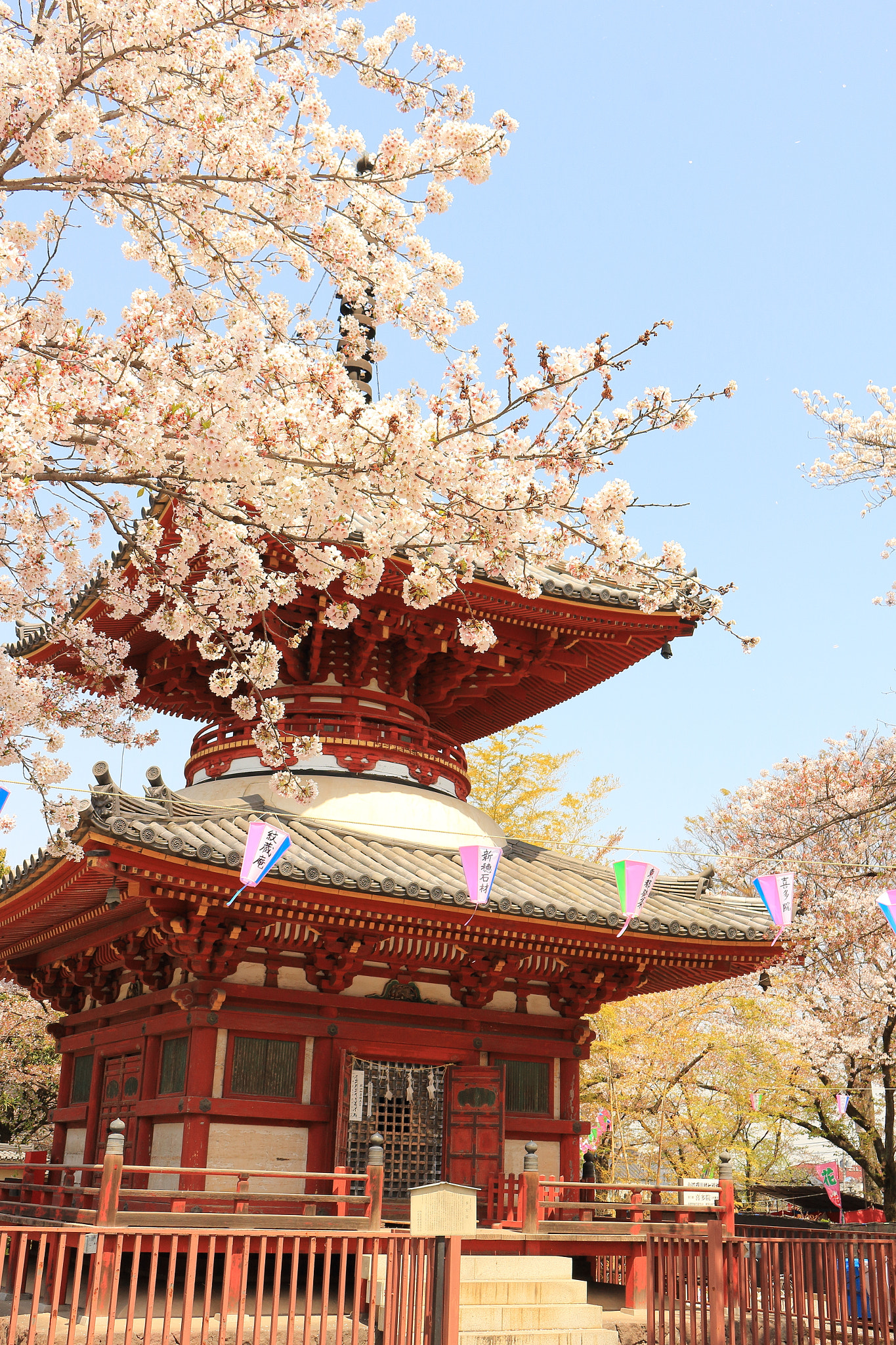 Canon EOS 100D (EOS Rebel SL1 / EOS Kiss X7) sample photo. Cherry blossoms & red tower photography