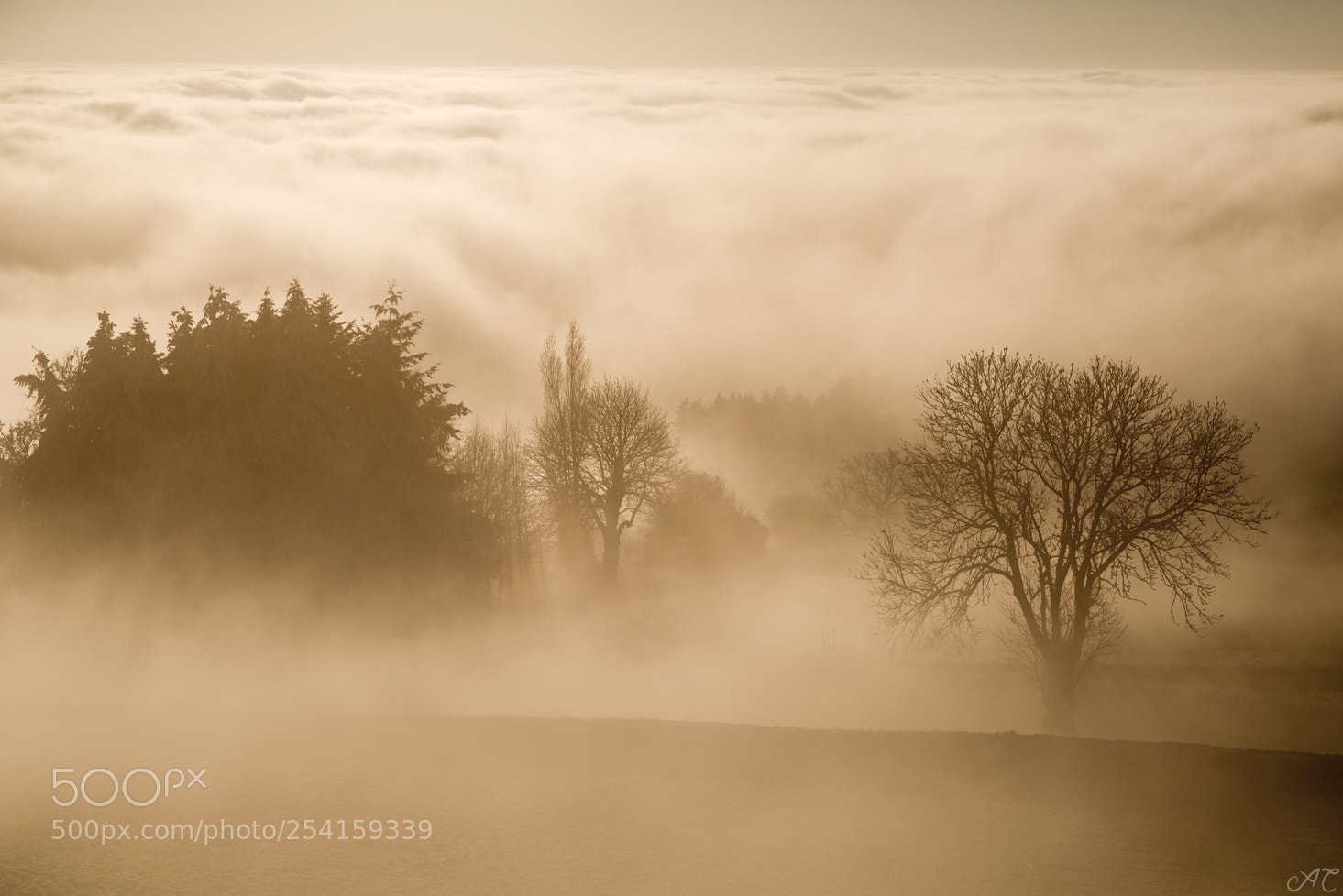 Nikon D800 sample photo. Foggy landscape photography