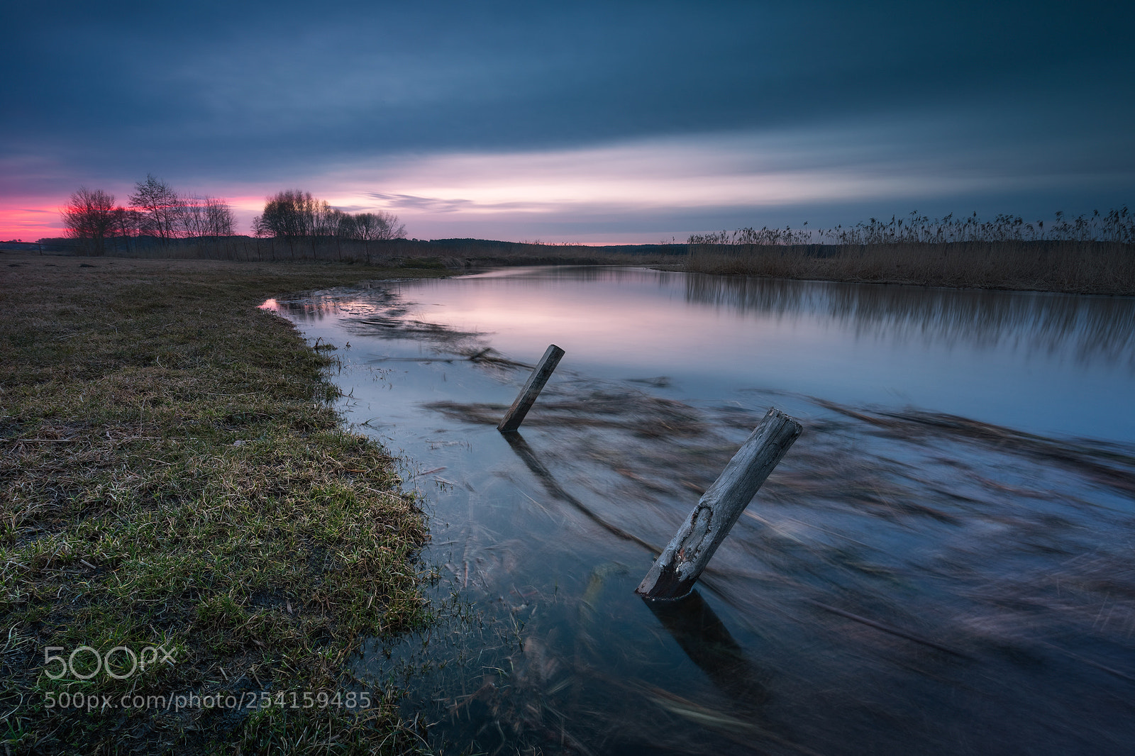 Canon EOS 5D Mark IV sample photo. River supraśl... photography