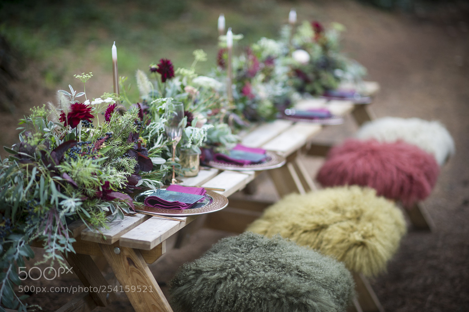 Nikon D3S sample photo. Rich page - showreel. photography