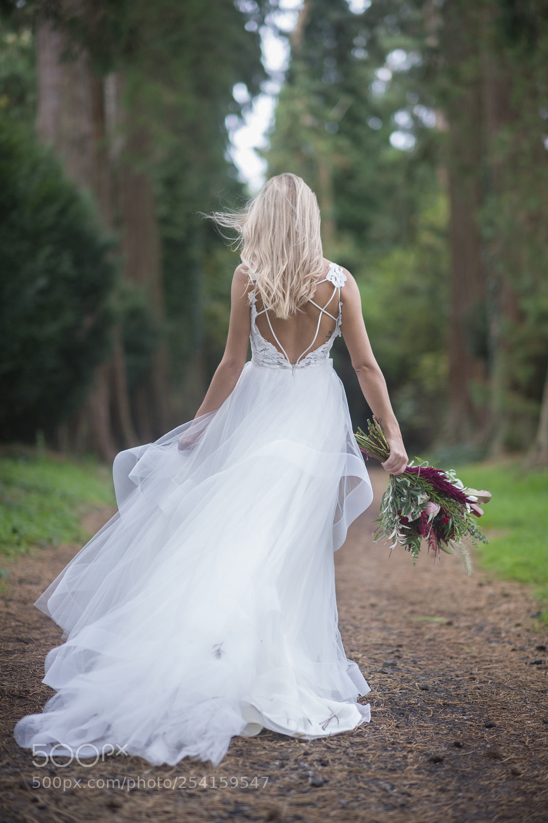Nikon D3S sample photo. Rich page - showreel. photography