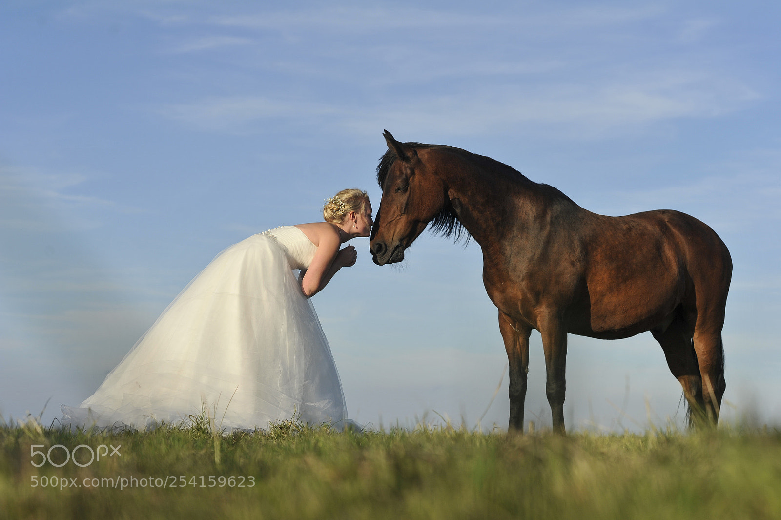 Nikon D3S sample photo. Rich page - showreel. photography
