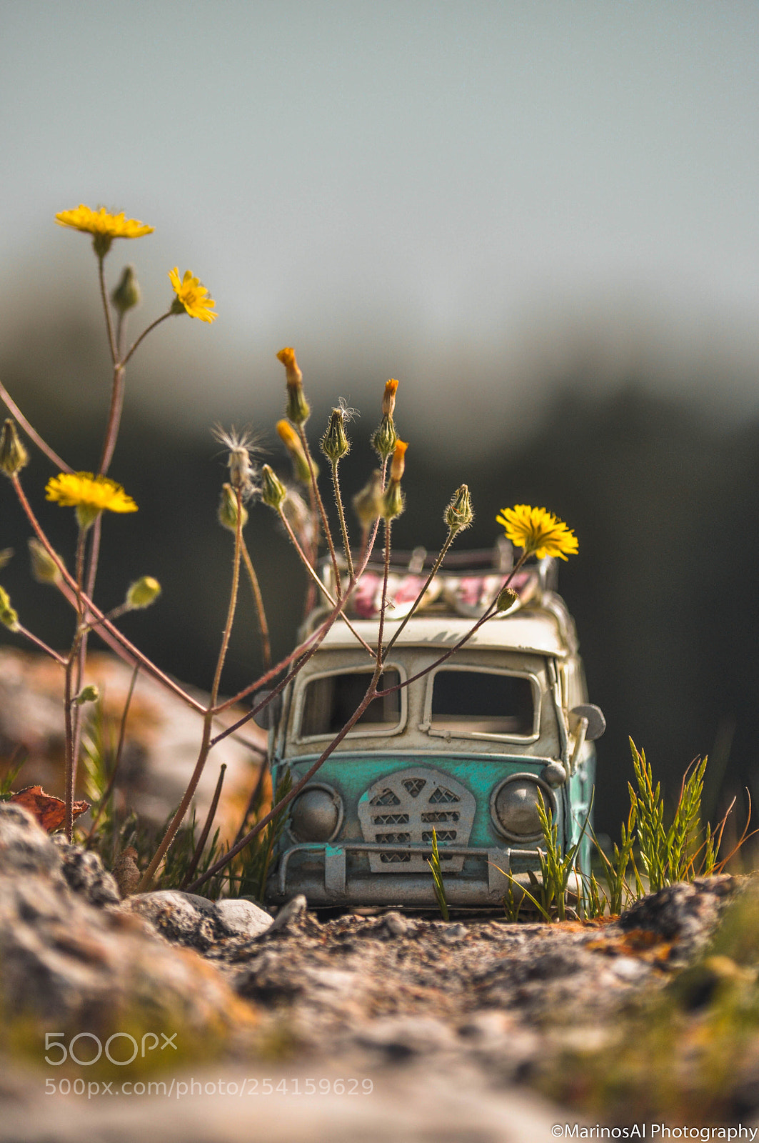 Nikon D5000 sample photo. Still life . . . photography