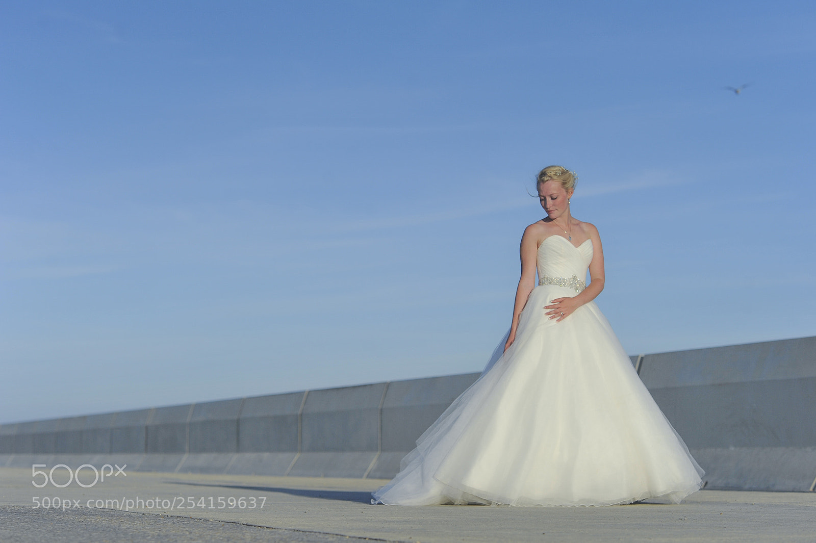 Nikon D3S sample photo. Rich page - showreel. photography