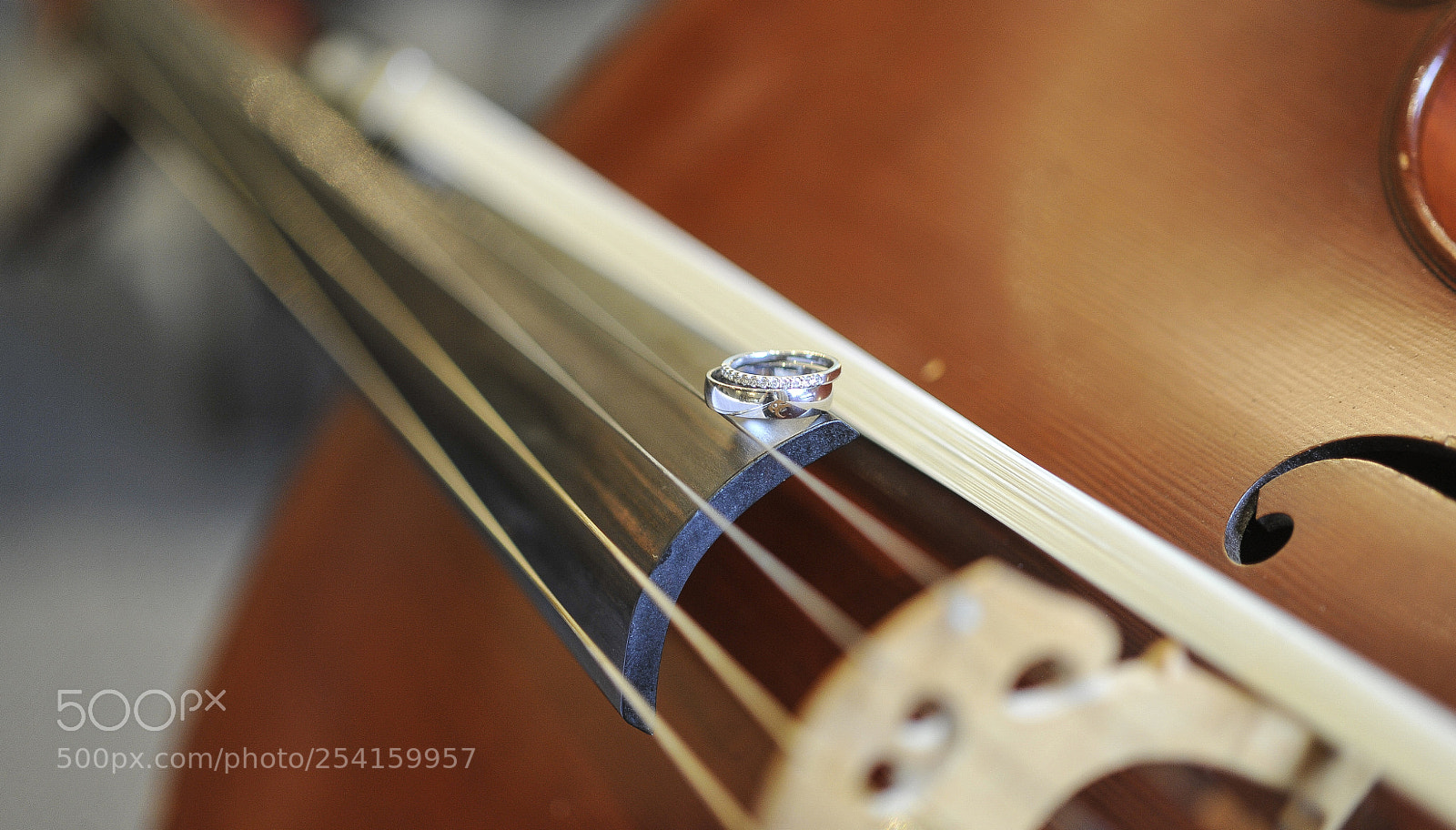 Nikon D3S sample photo. Rich page - showreel. photography