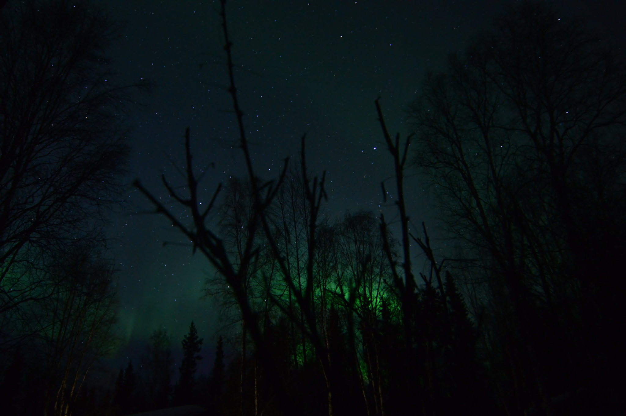 Nikon D3200 sample photo. Star light  star bright photography