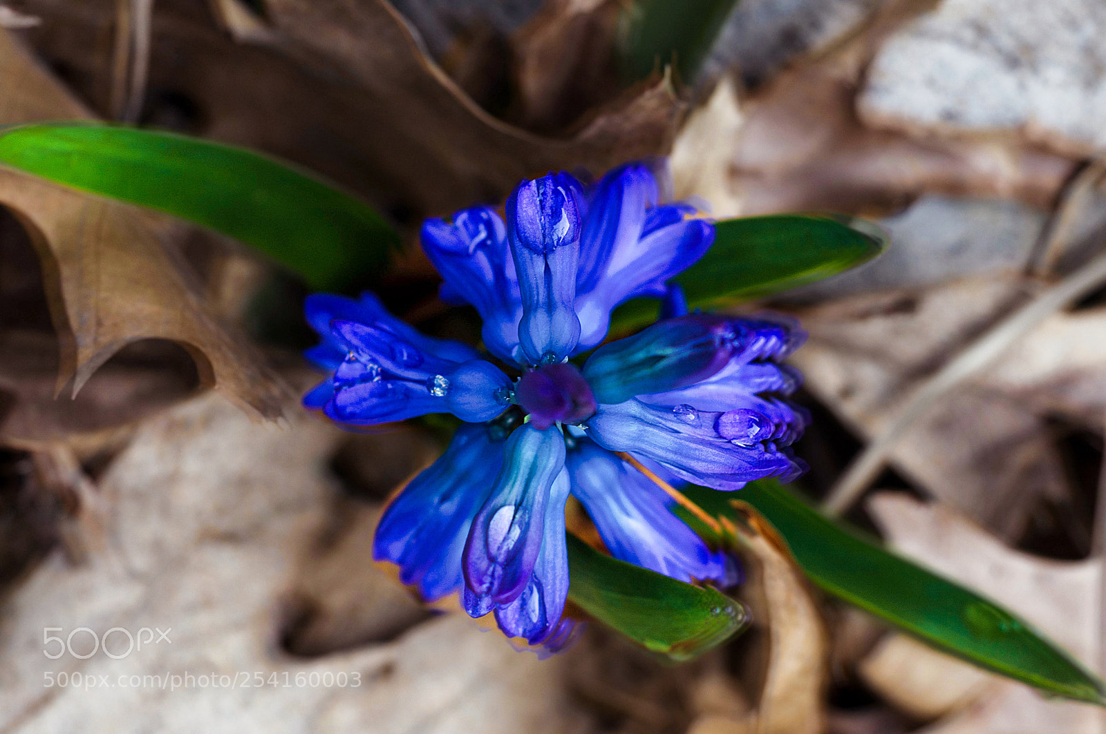Nikon D7100 sample photo. Untitled photography