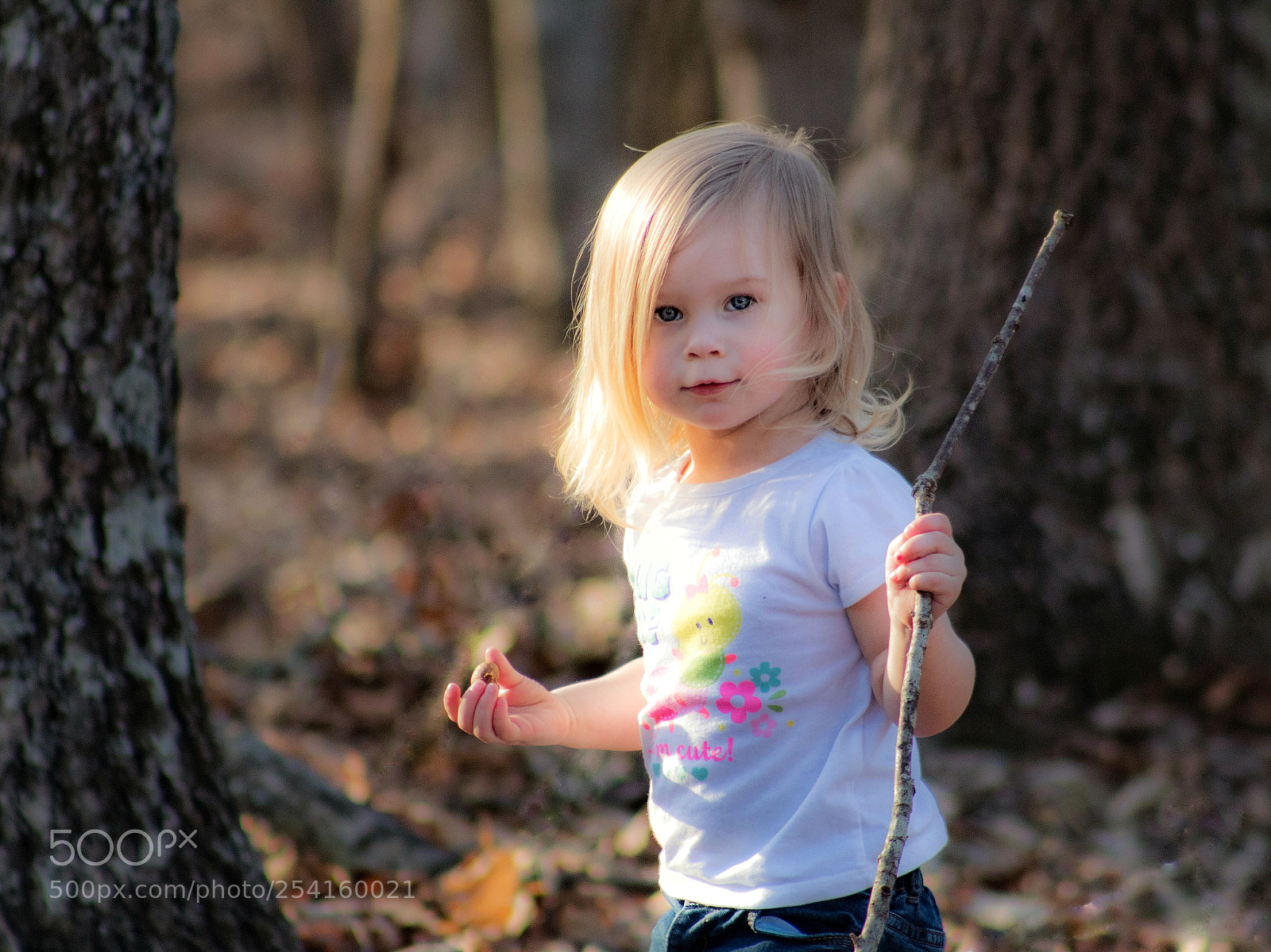 Canon EOS 1300D (EOS Rebel T6 / EOS Kiss X80) sample photo. Savannah photography