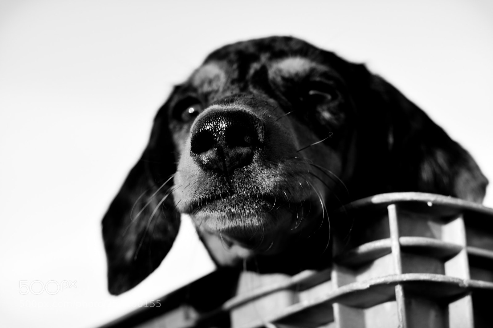 Nikon D3400 sample photo. Hugo photography