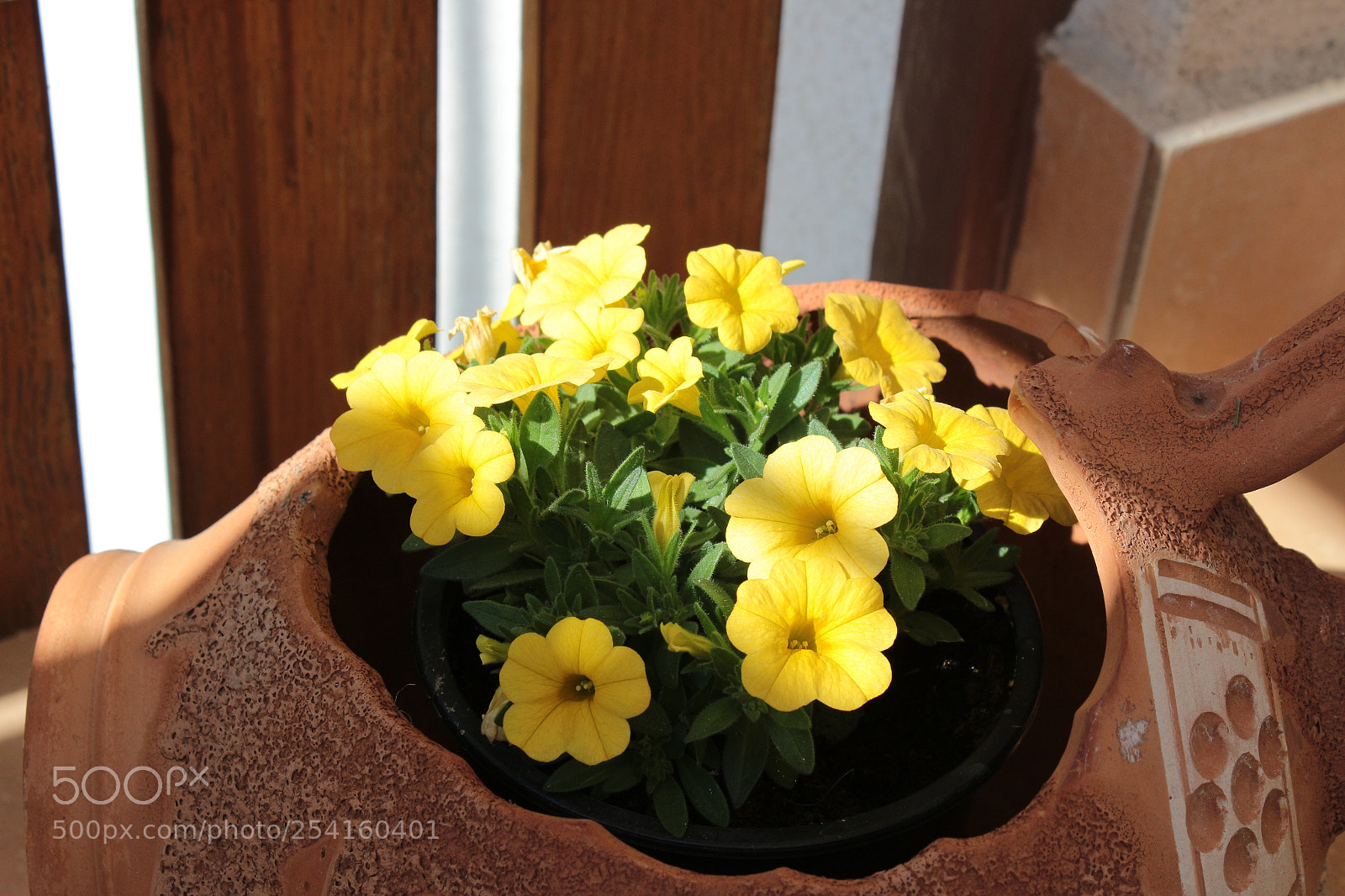 Canon EOS 100D (EOS Rebel SL1 / EOS Kiss X7) sample photo. Yellow, spring,balcon photography