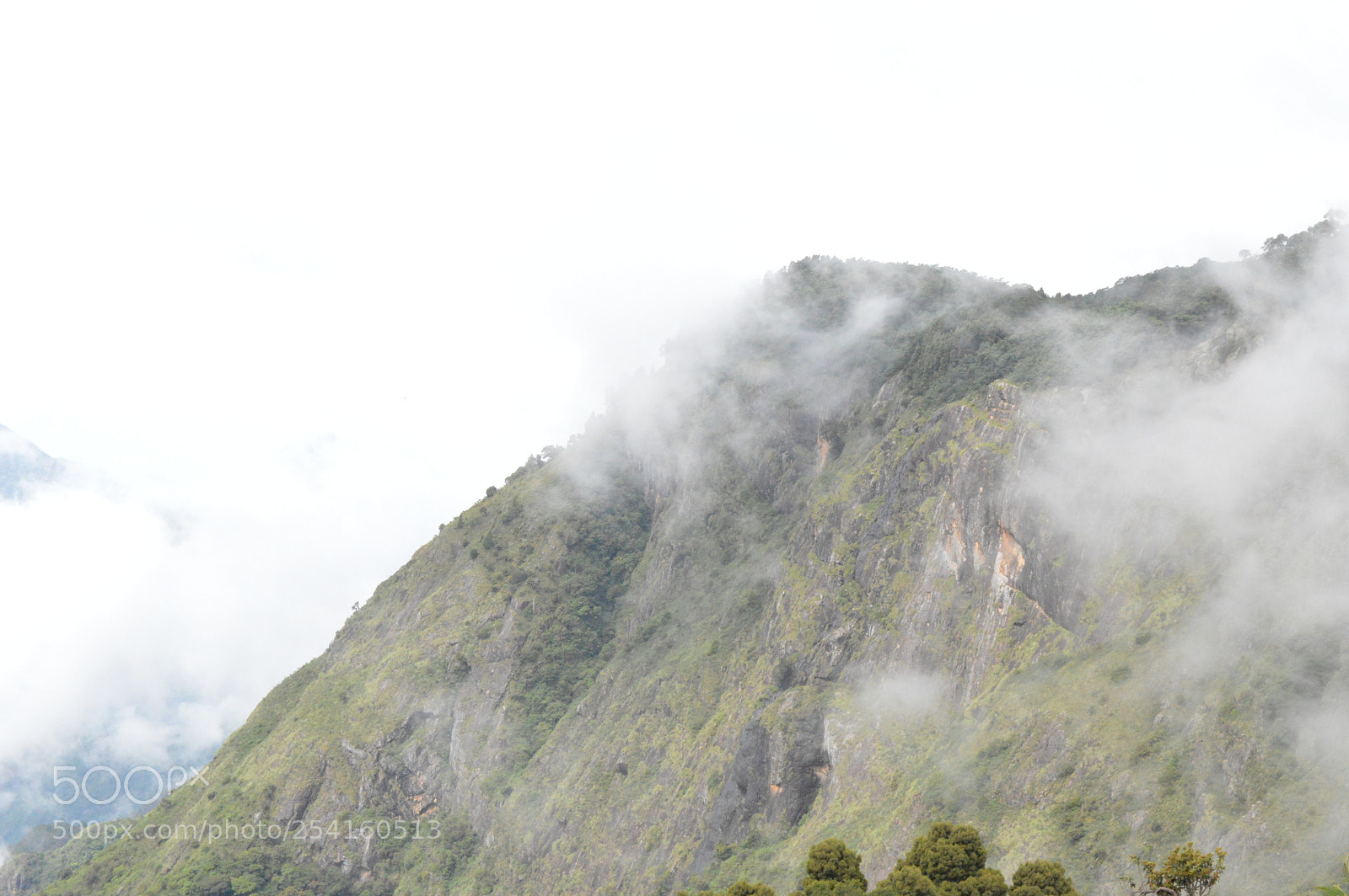 Nikon D3200 sample photo. Kodaikanal hills photography