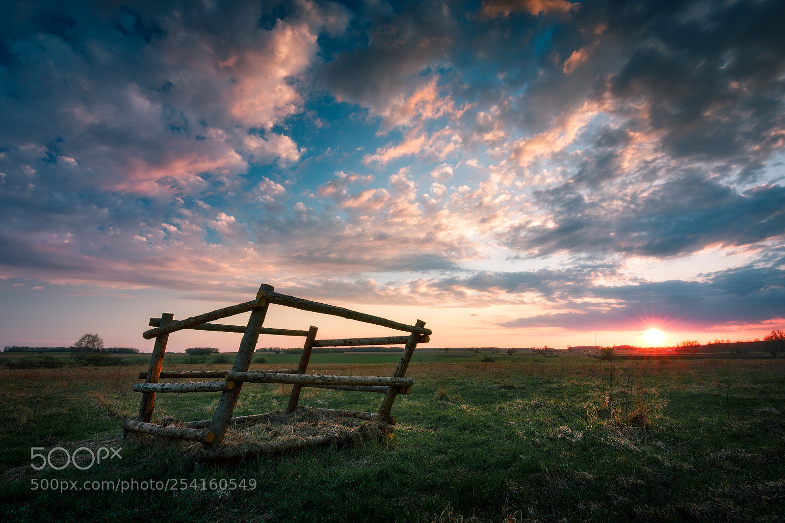 Canon EOS 5D Mark IV sample photo. Summer spring in podlasie... photography