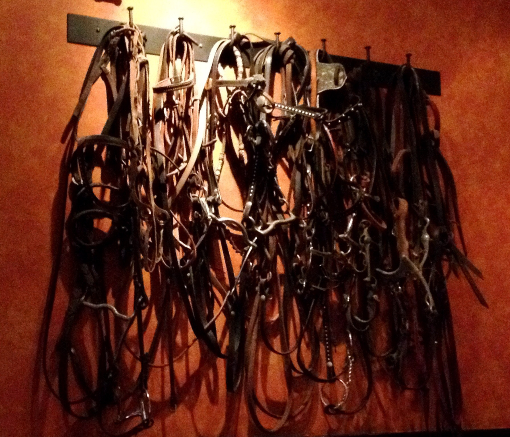 Jag.gr 645 PRO for iPhone sample photo. Longhorns restaurant  photography
