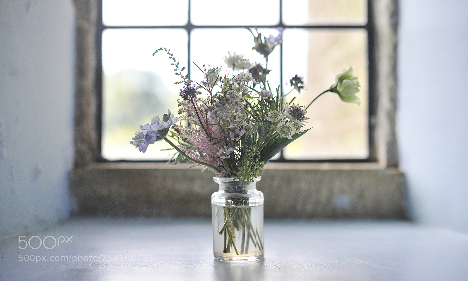 Nikon D3S sample photo. Rich page - showreel. photography