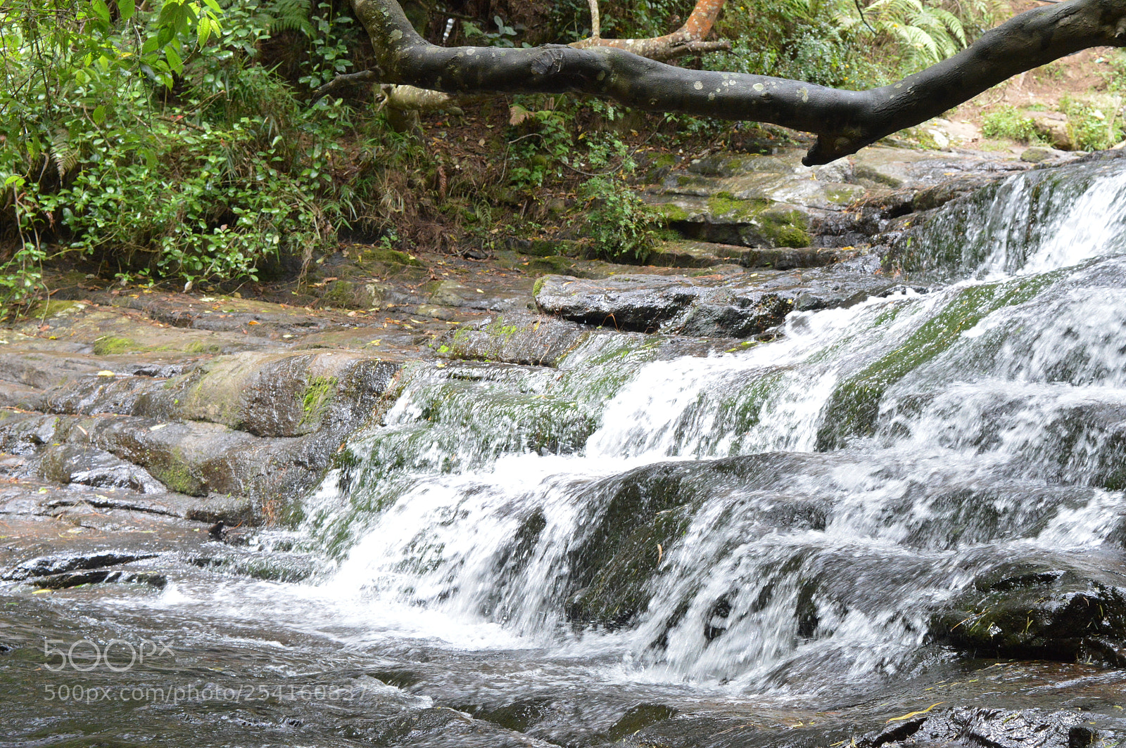 Nikon D3200 sample photo. Cascade photography