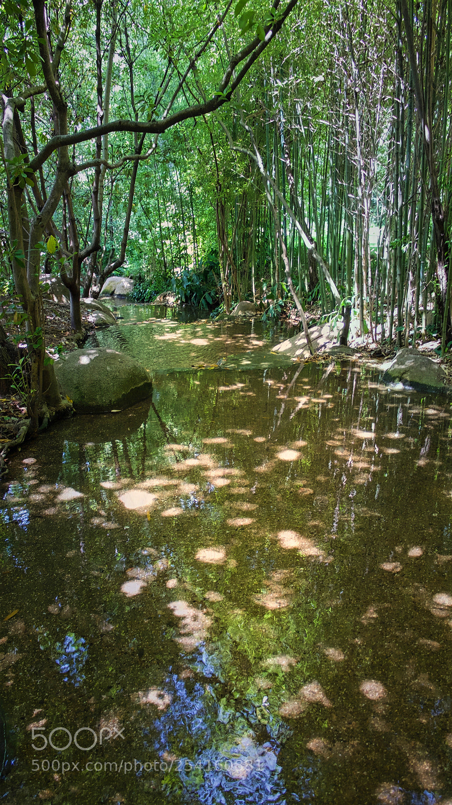 Panasonic Lumix DMC-G1 sample photo. Gulbenkian garden photography