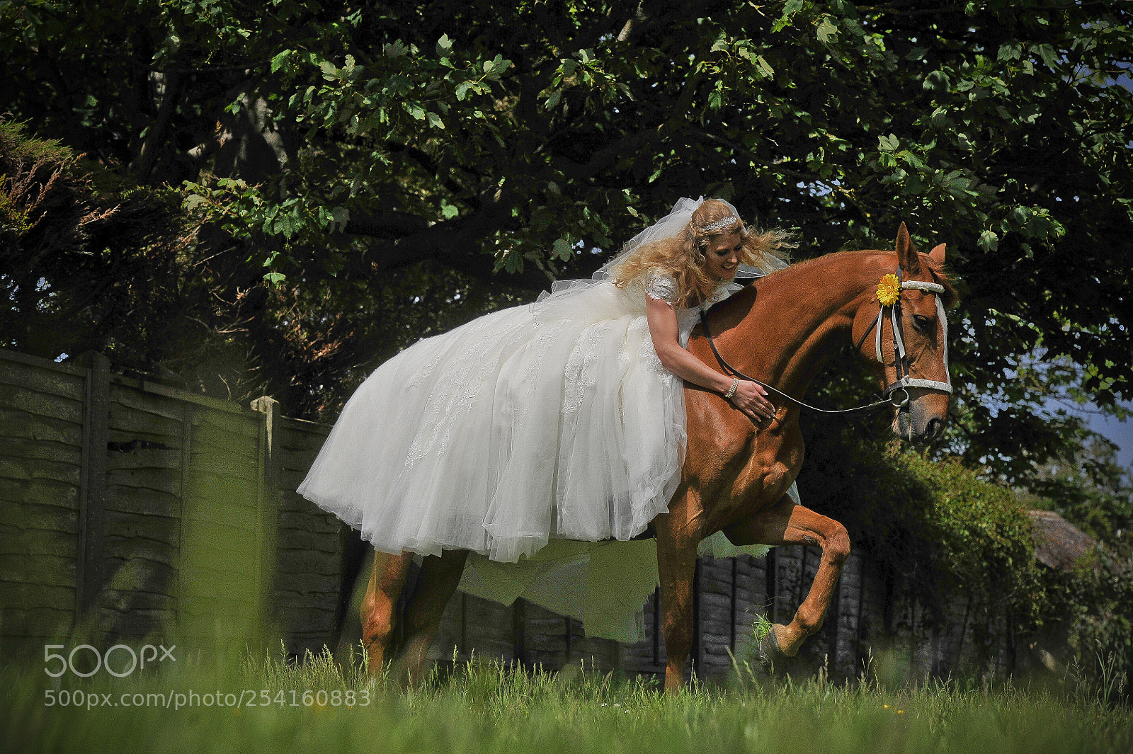 Nikon D3S sample photo. Rich page - showreel. photography