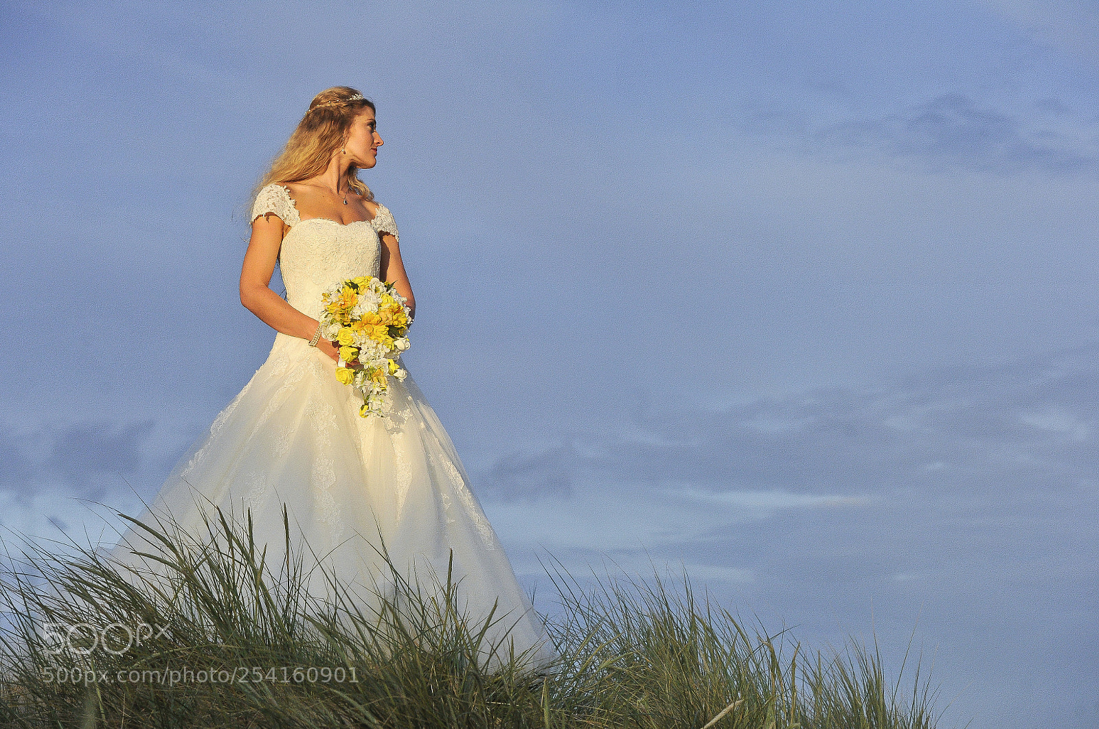 Nikon D3S sample photo. Rich page - showreel. photography