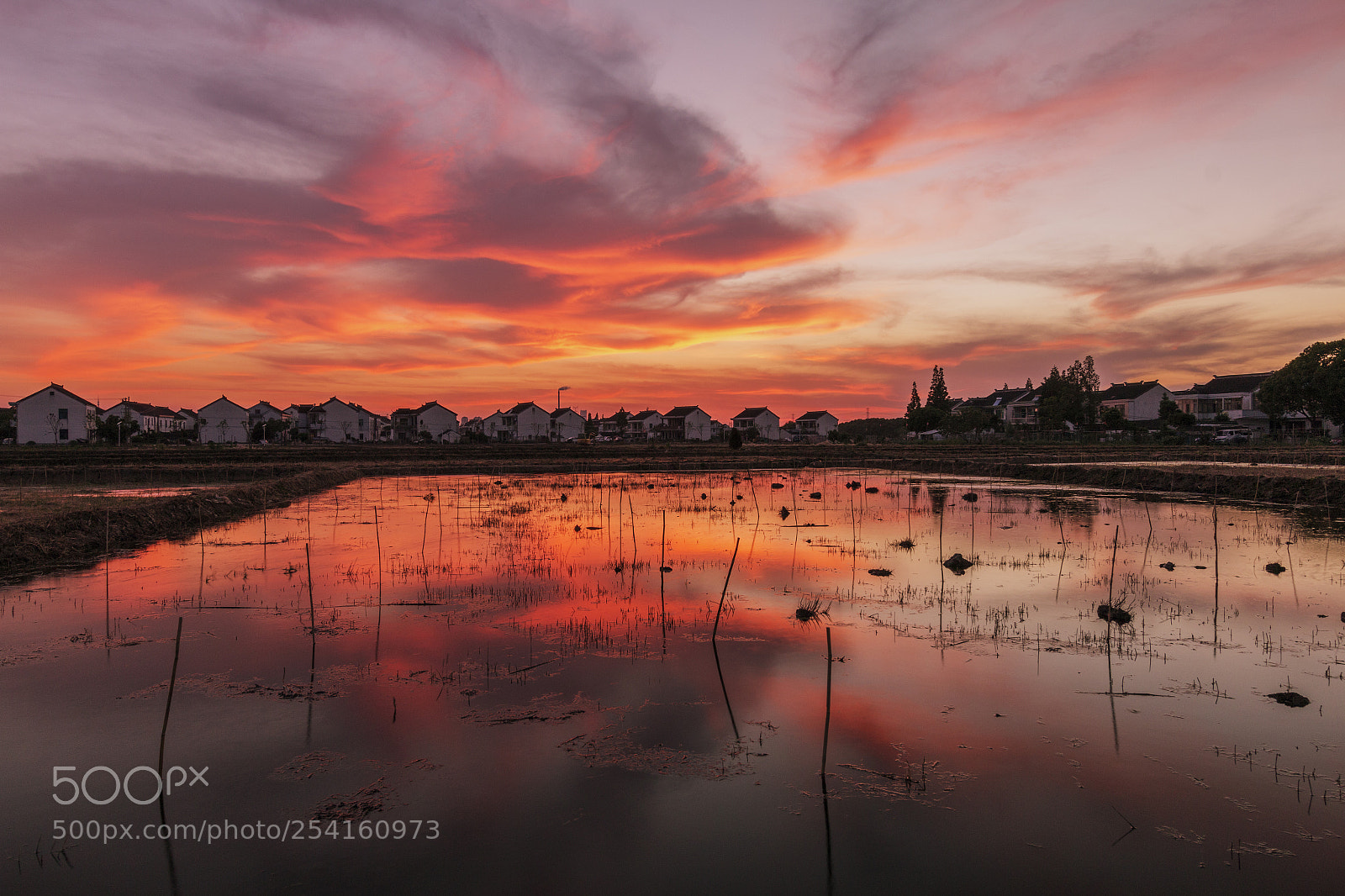 Canon EOS 70D sample photo. The countryside twilight photography
