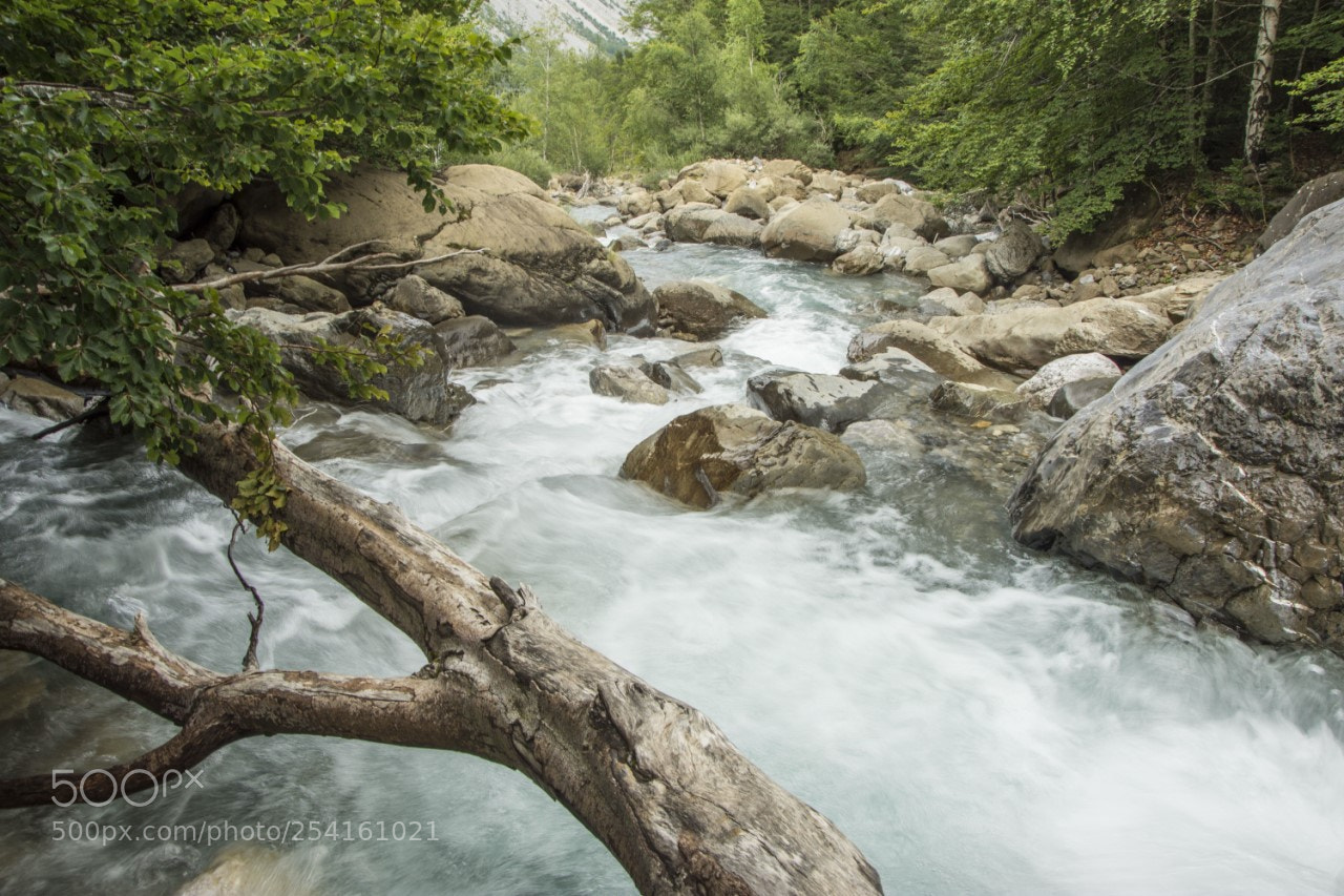 Nikon D7200 sample photo. Untitled photography