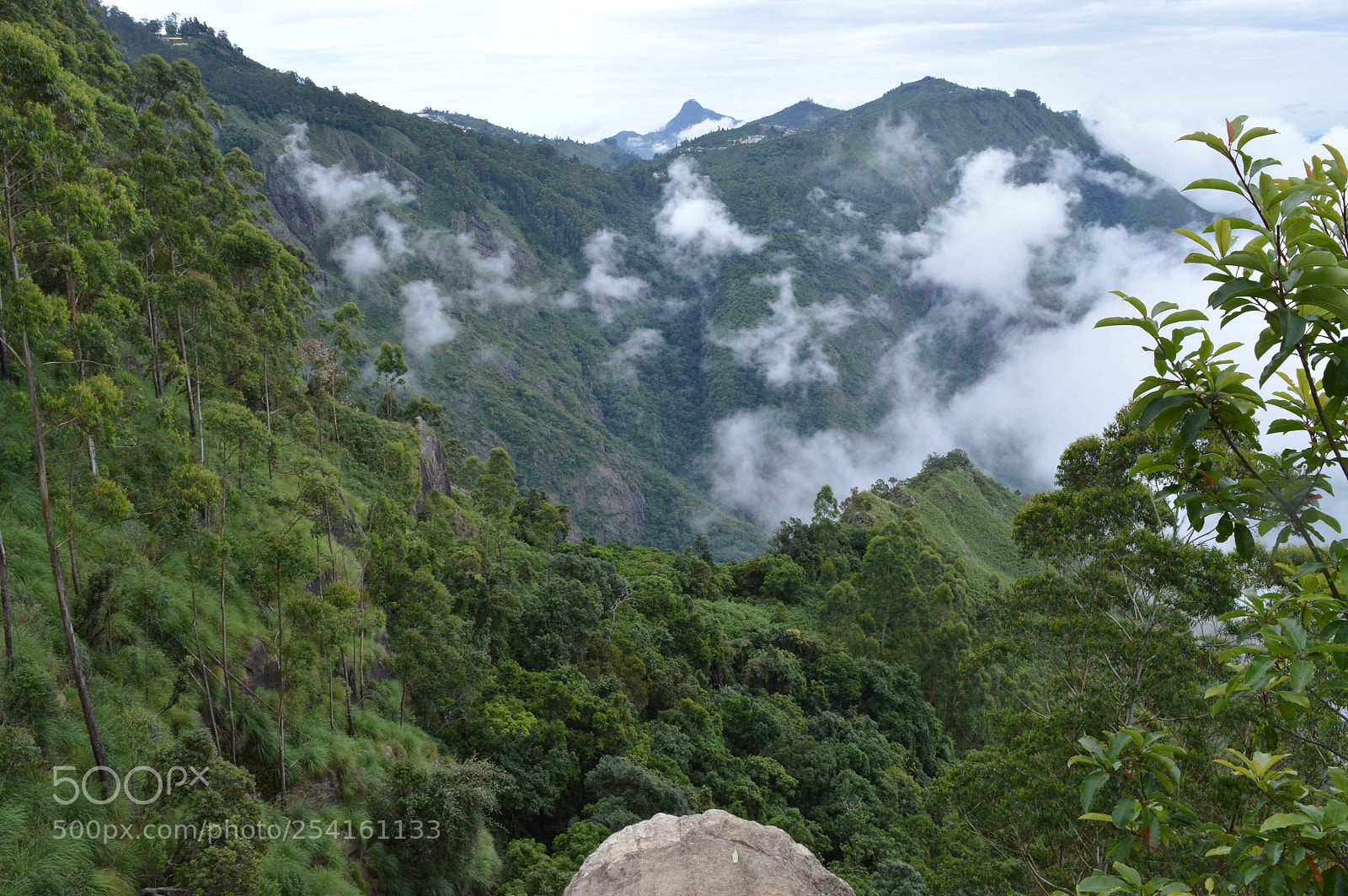 Nikon D3200 sample photo. Dolphin nose photography