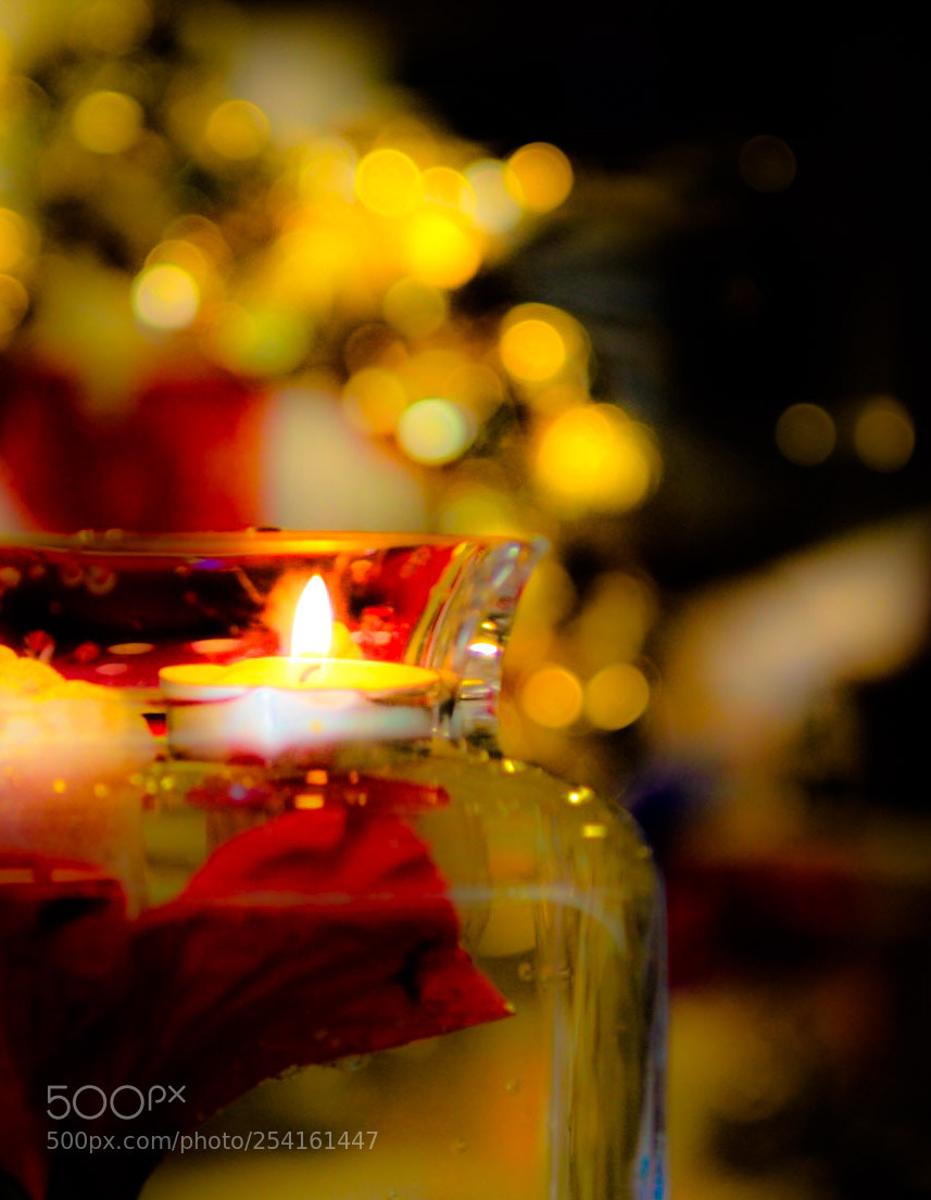 Canon EOS 5D Mark II sample photo. Untitled photography