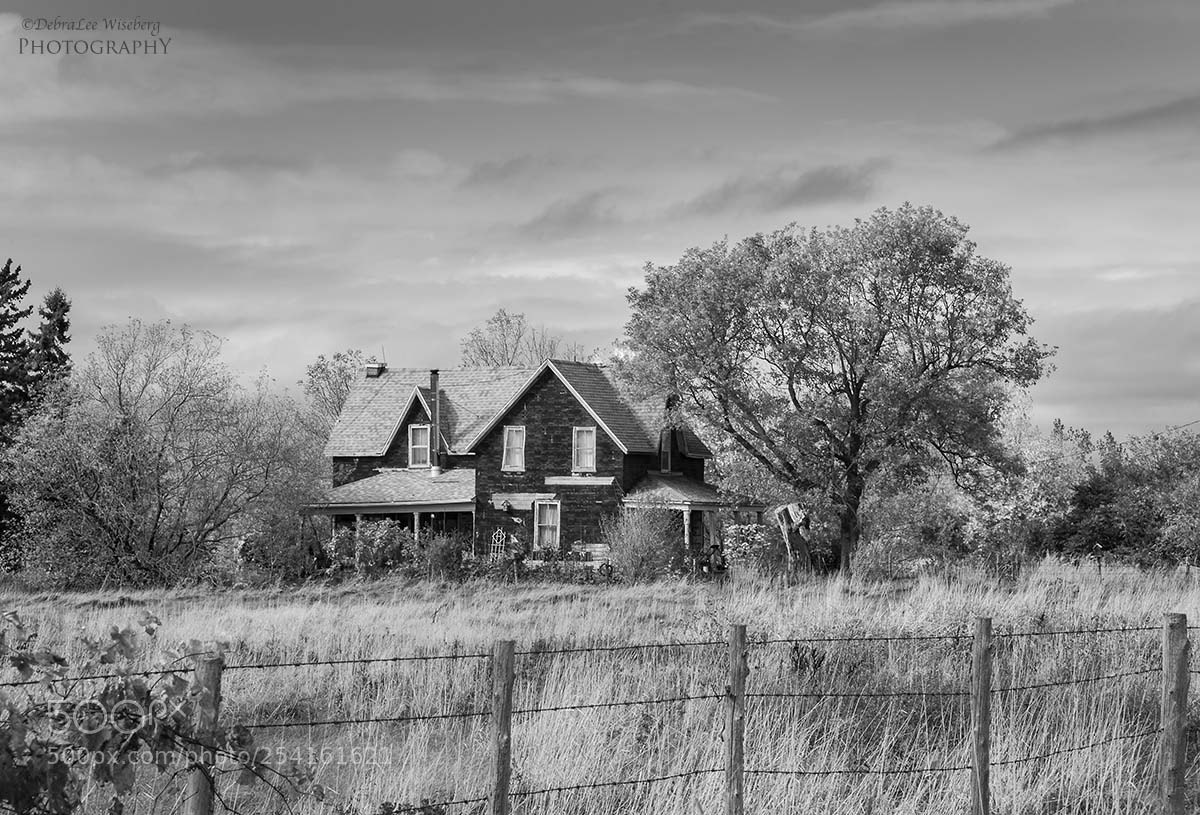 Nikon D700 sample photo. Ole homestead photography