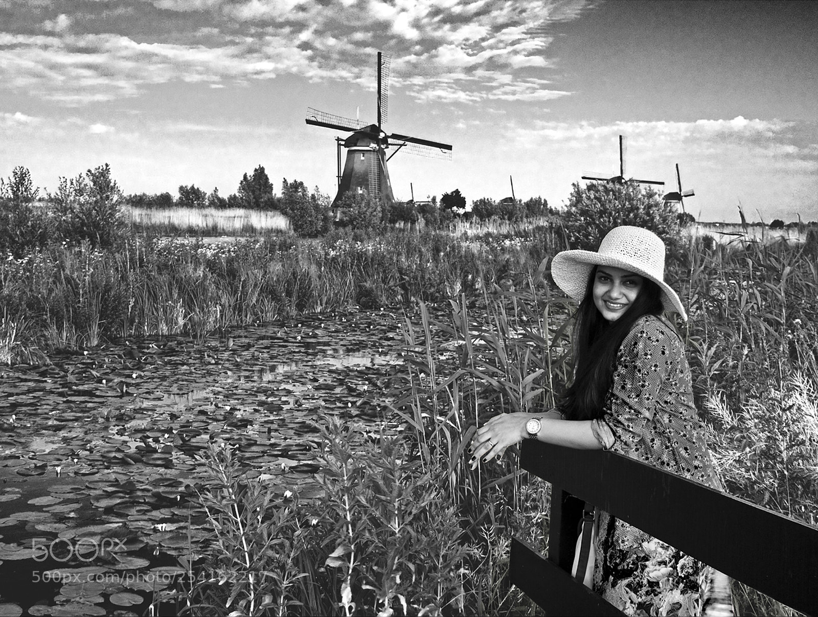 Canon EOS 550D (EOS Rebel T2i / EOS Kiss X4) sample photo. In the dutch country photography