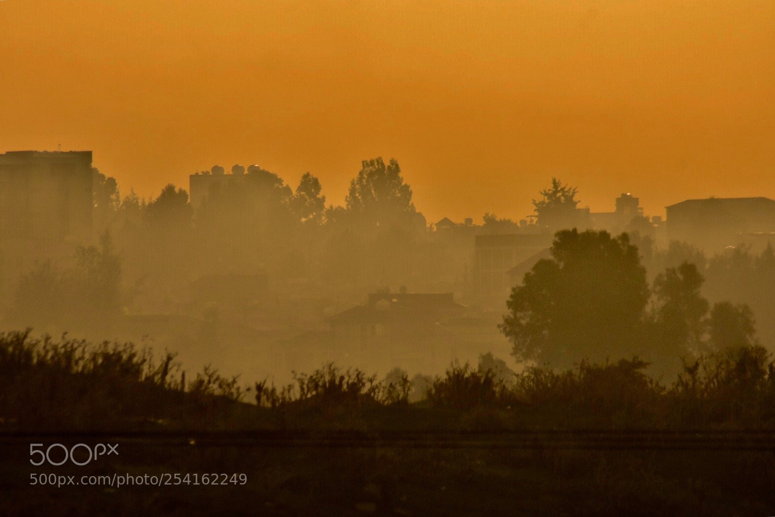 Nikon D7200 sample photo. Sun rise early morning  photography