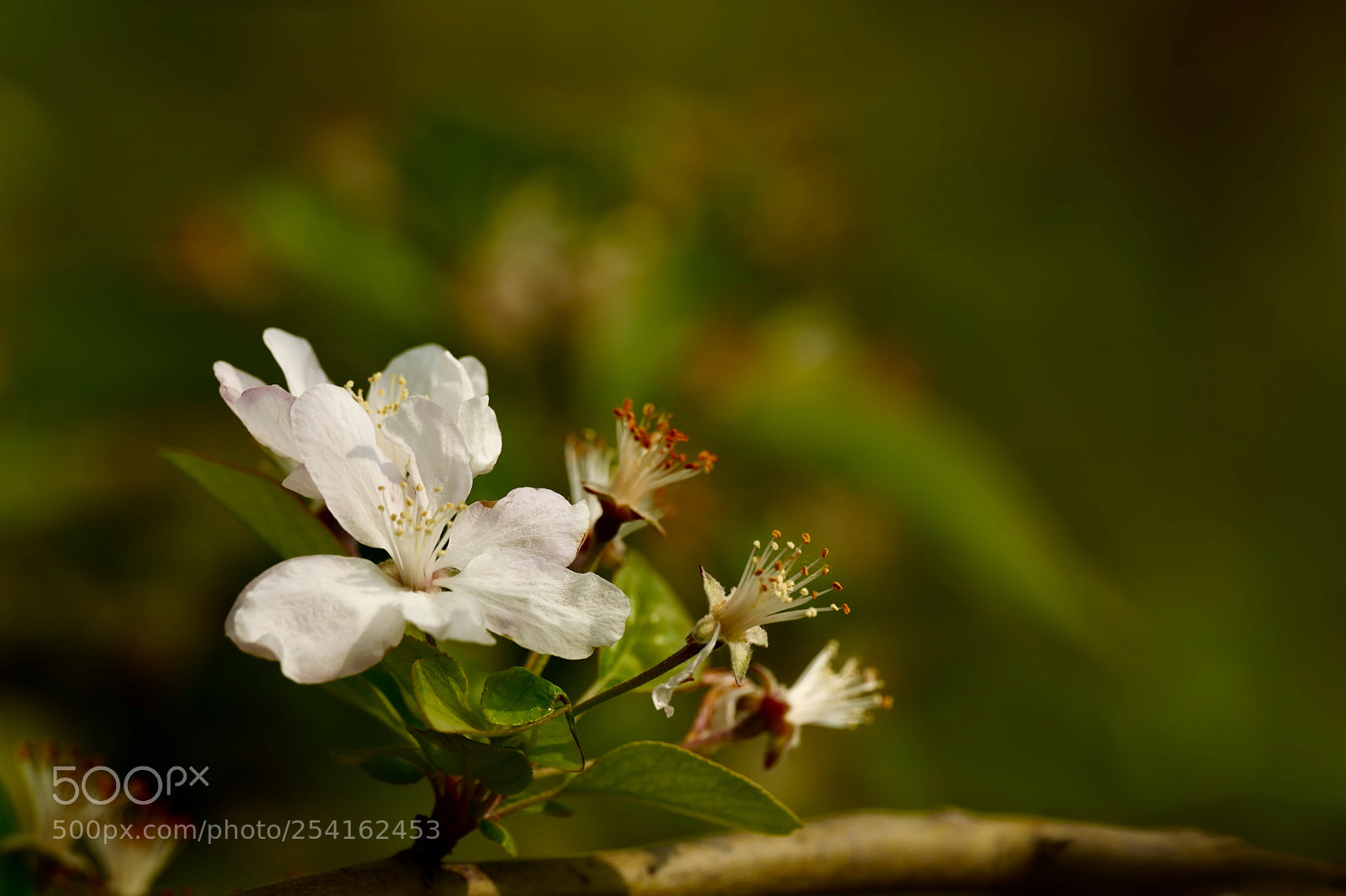 Leica SL (Typ 601) sample photo. Untitled photography