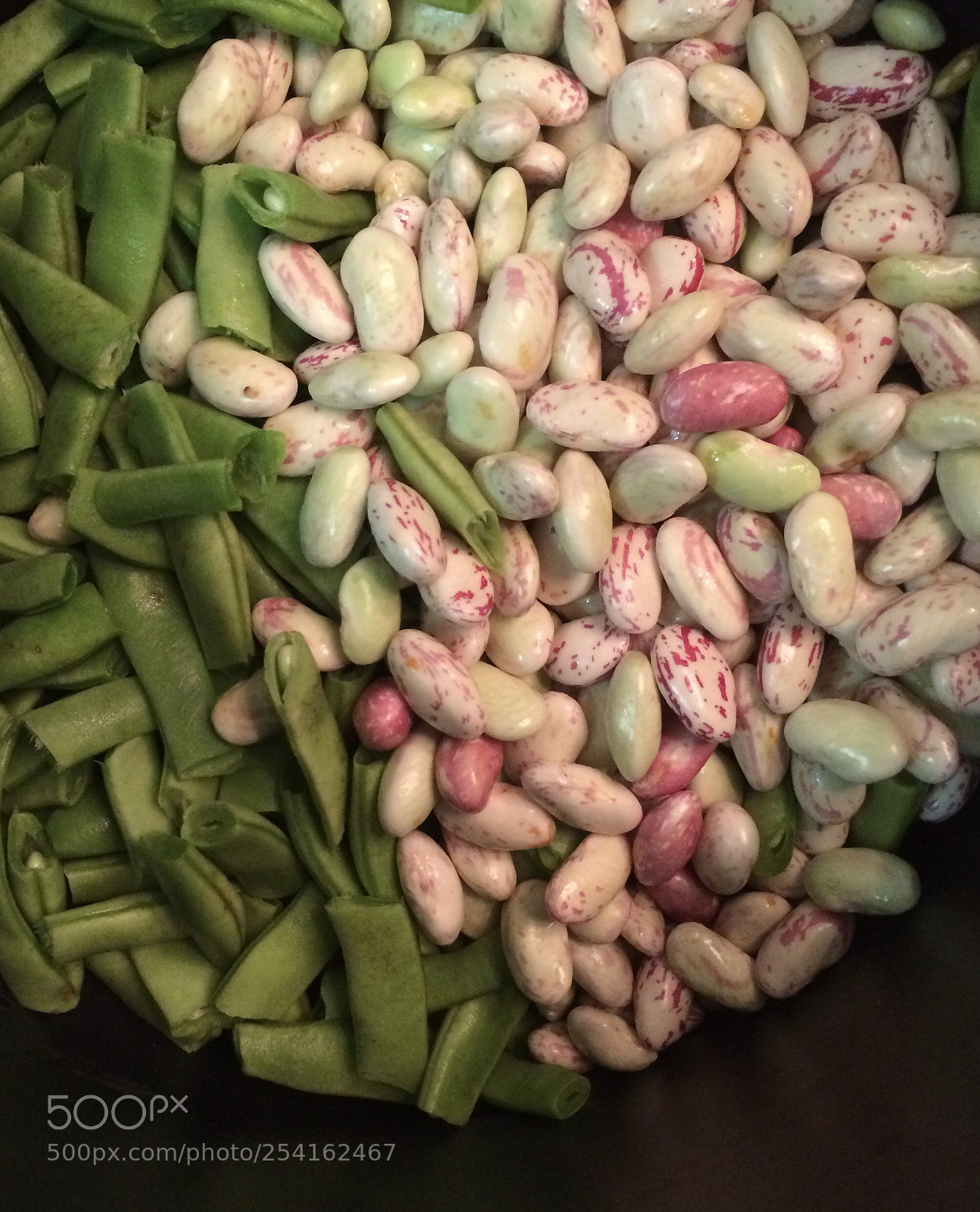 Apple iPhone 5s sample photo. Snapping beans for dinner  photography