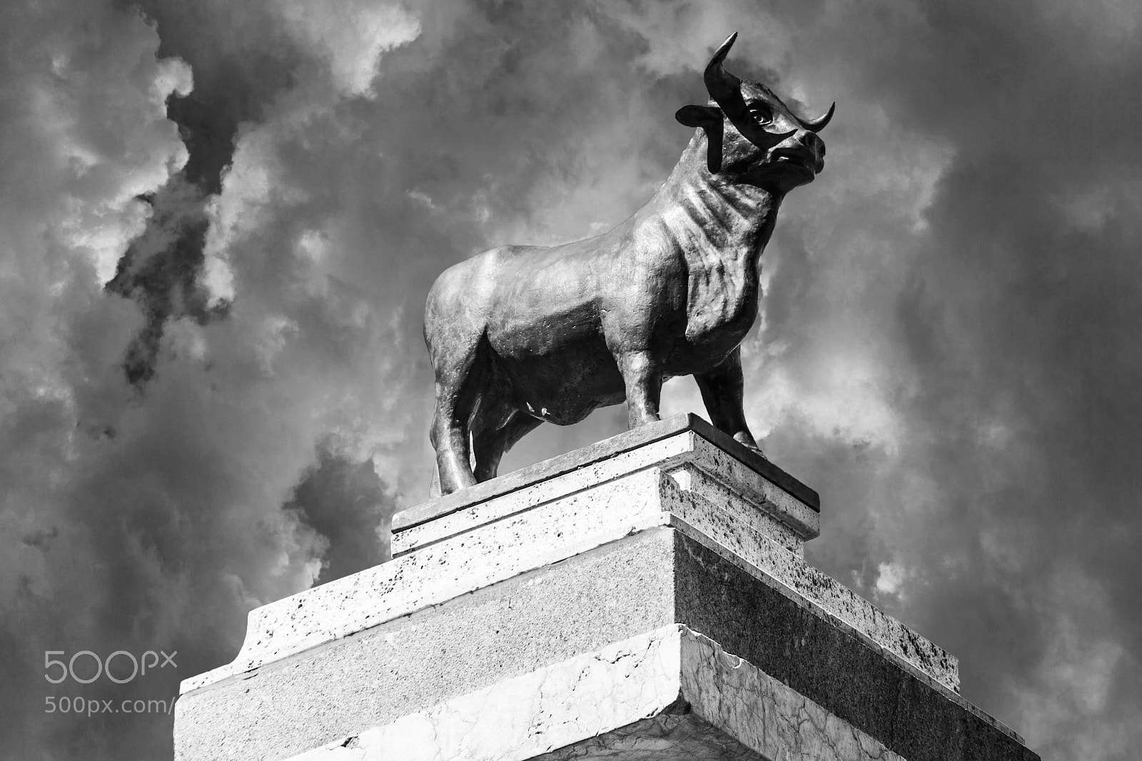 Nikon D7200 sample photo. Bull statue photography