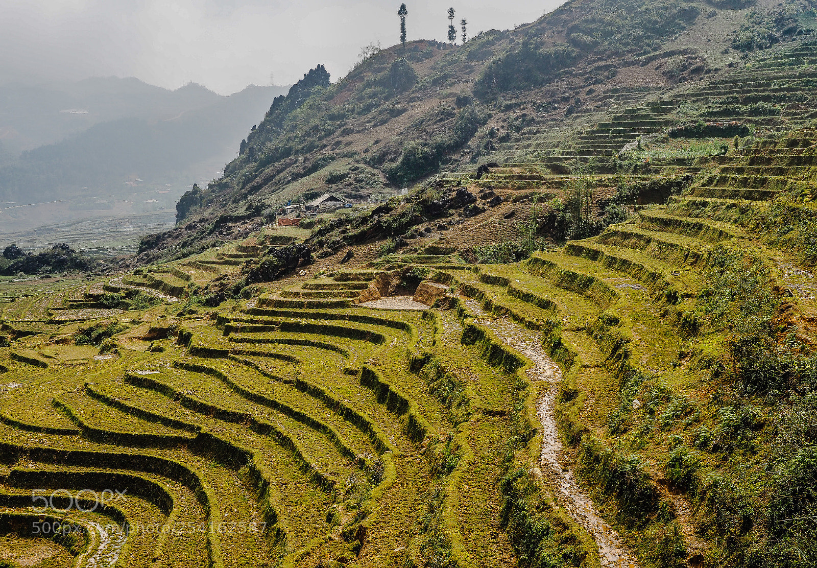 Olympus OM-D E-M5 II sample photo. Stairway to heaven photography