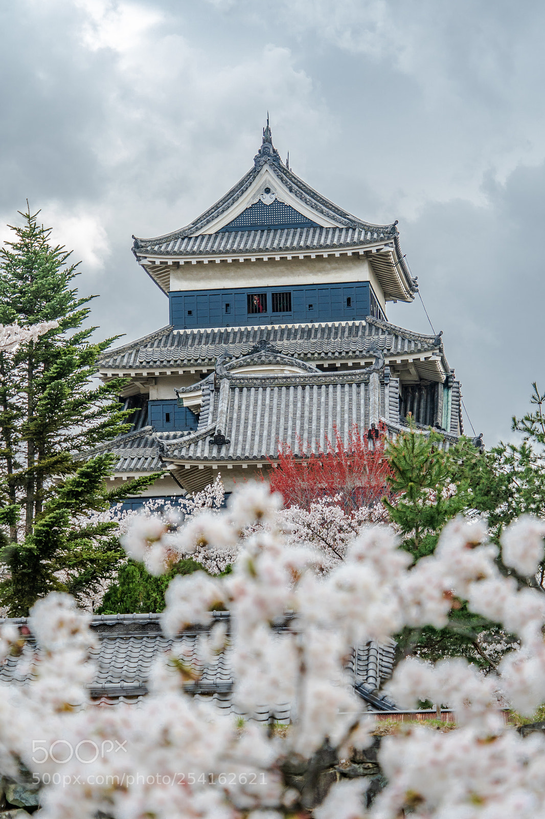 Sony a7 III sample photo. Matsumoto sakura photography