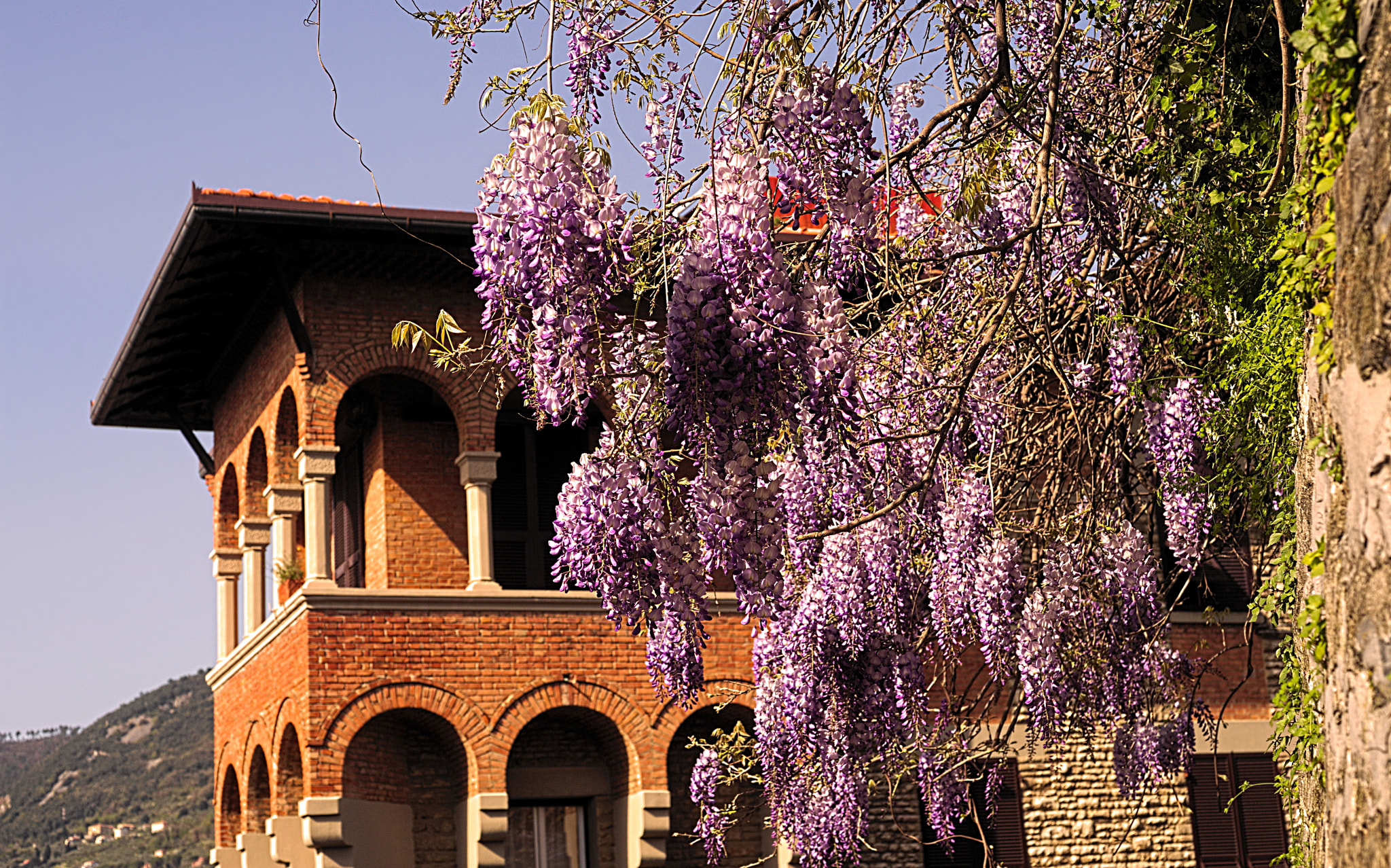 Nikon D700 + Manual Lens No CPU sample photo. Springtime landscape in la spezia photography