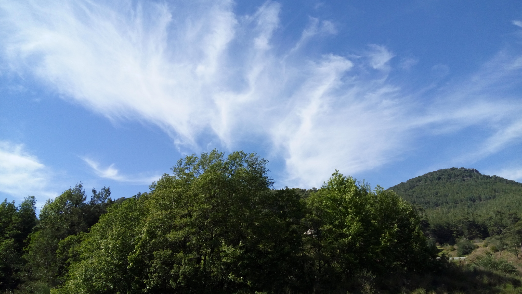 Lenovo VIBE X3 LITE sample photo