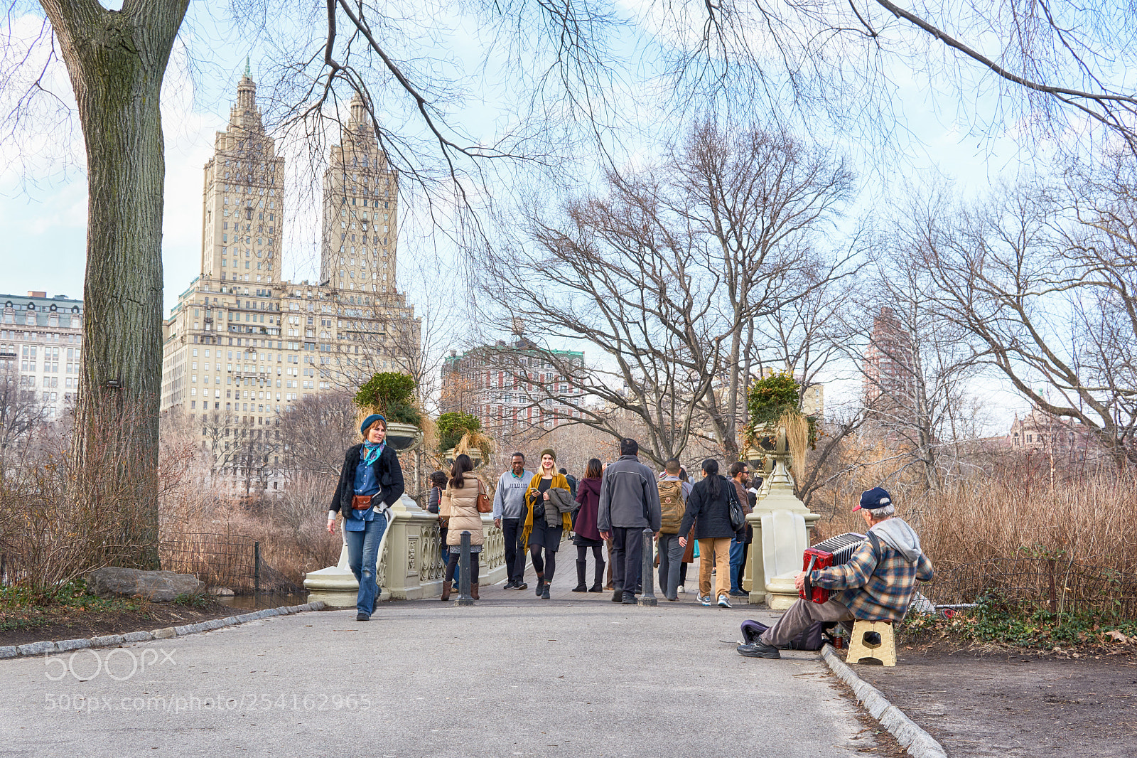 Sony a6500 sample photo. Nyc central park walk-ins photography