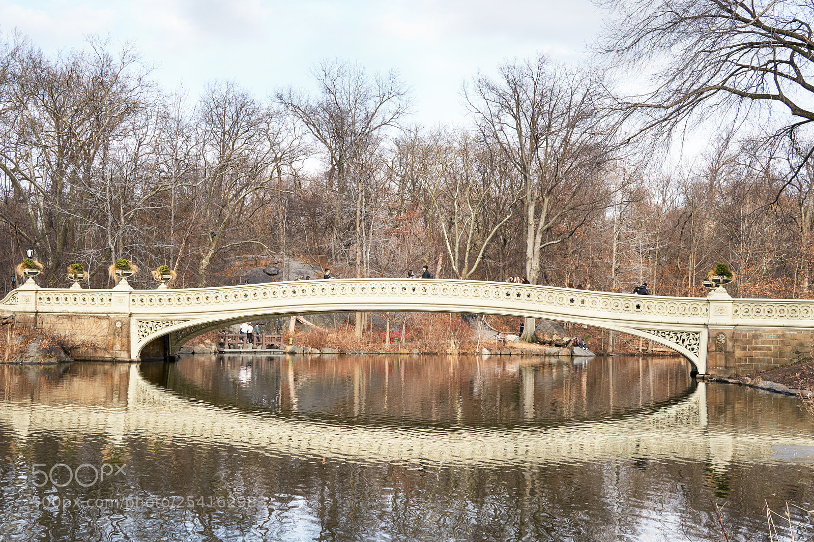 Sony a6500 sample photo. Nyc central park walk-ins photography