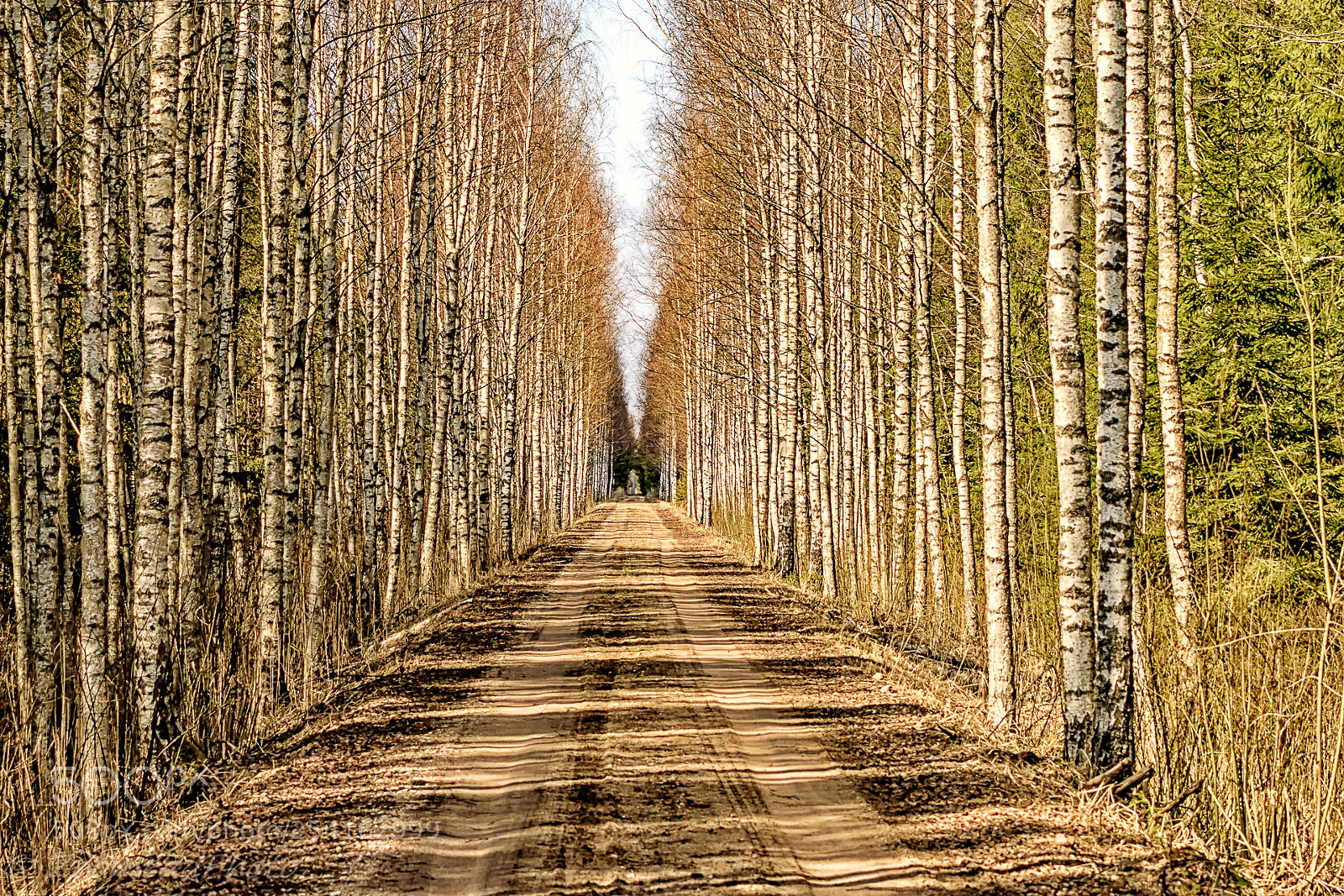 Canon EOS 70D sample photo. Entering nature. photography