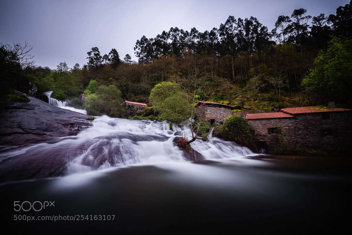 Nikon D810 sample photo. Barosa photography