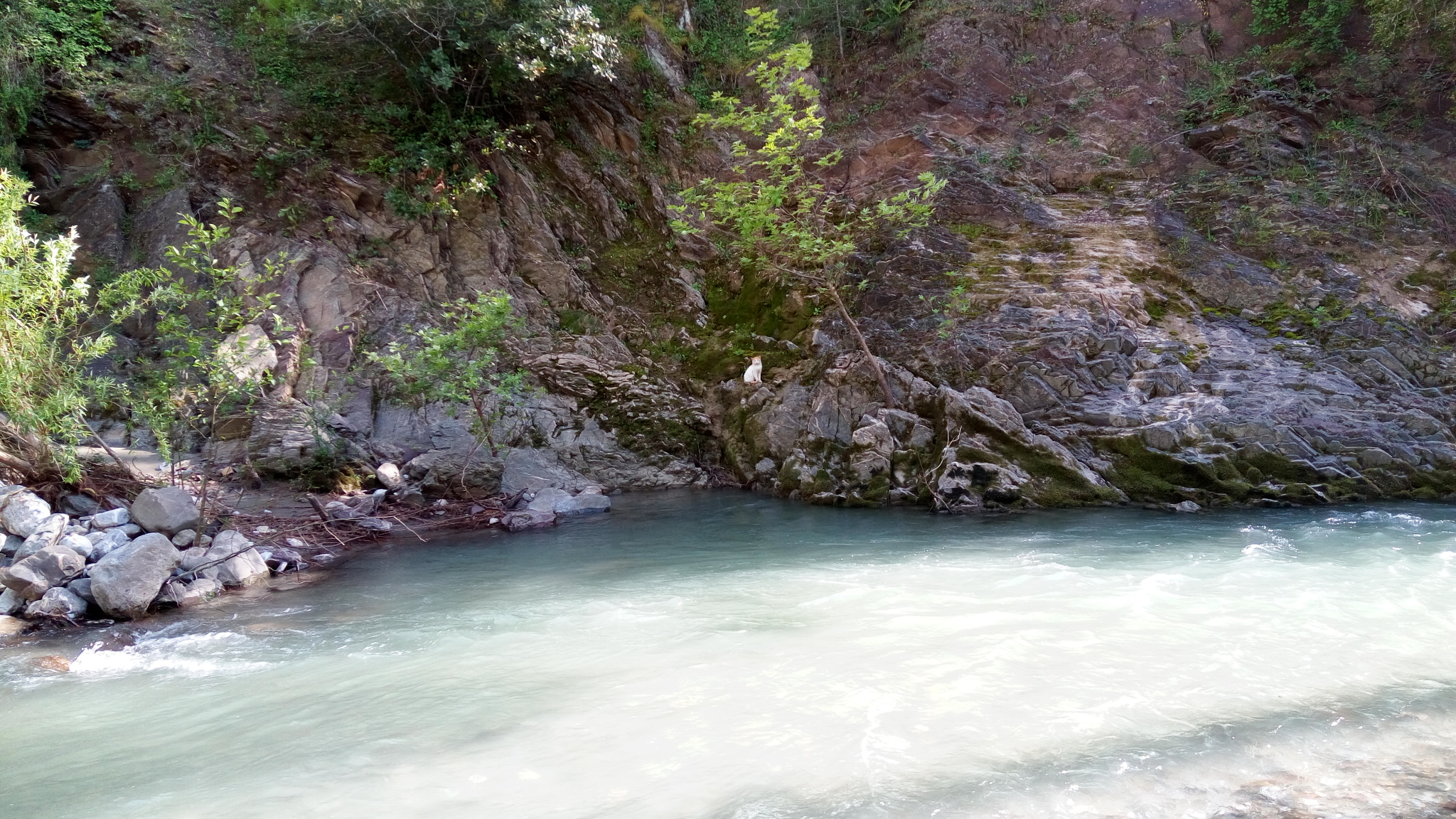 Lenovo VIBE X3 LITE sample photo