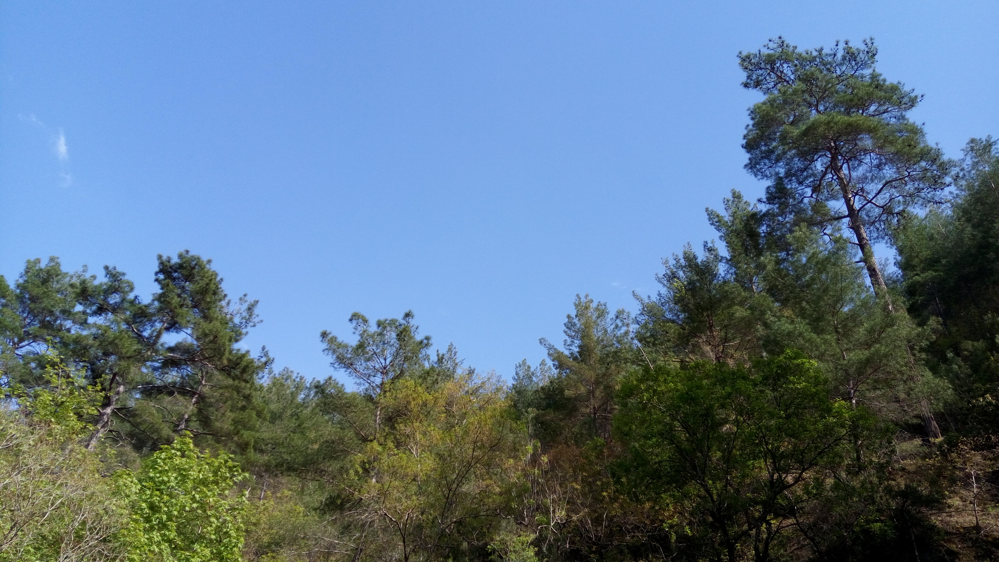 Lenovo VIBE X3 LITE sample photo