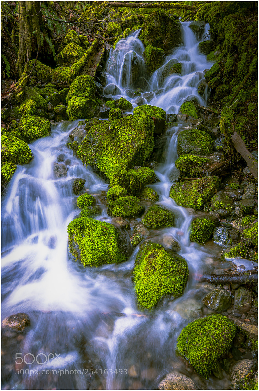 Nikon D300S sample photo. Mamquam road creek photography