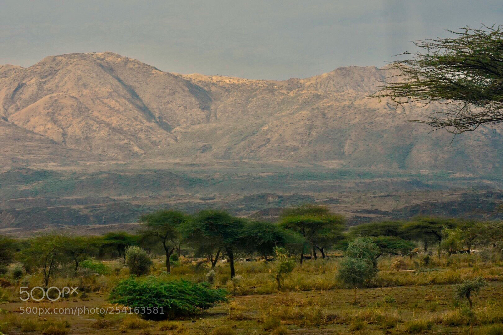 Nikon D7200 sample photo. Landscape views from the photography