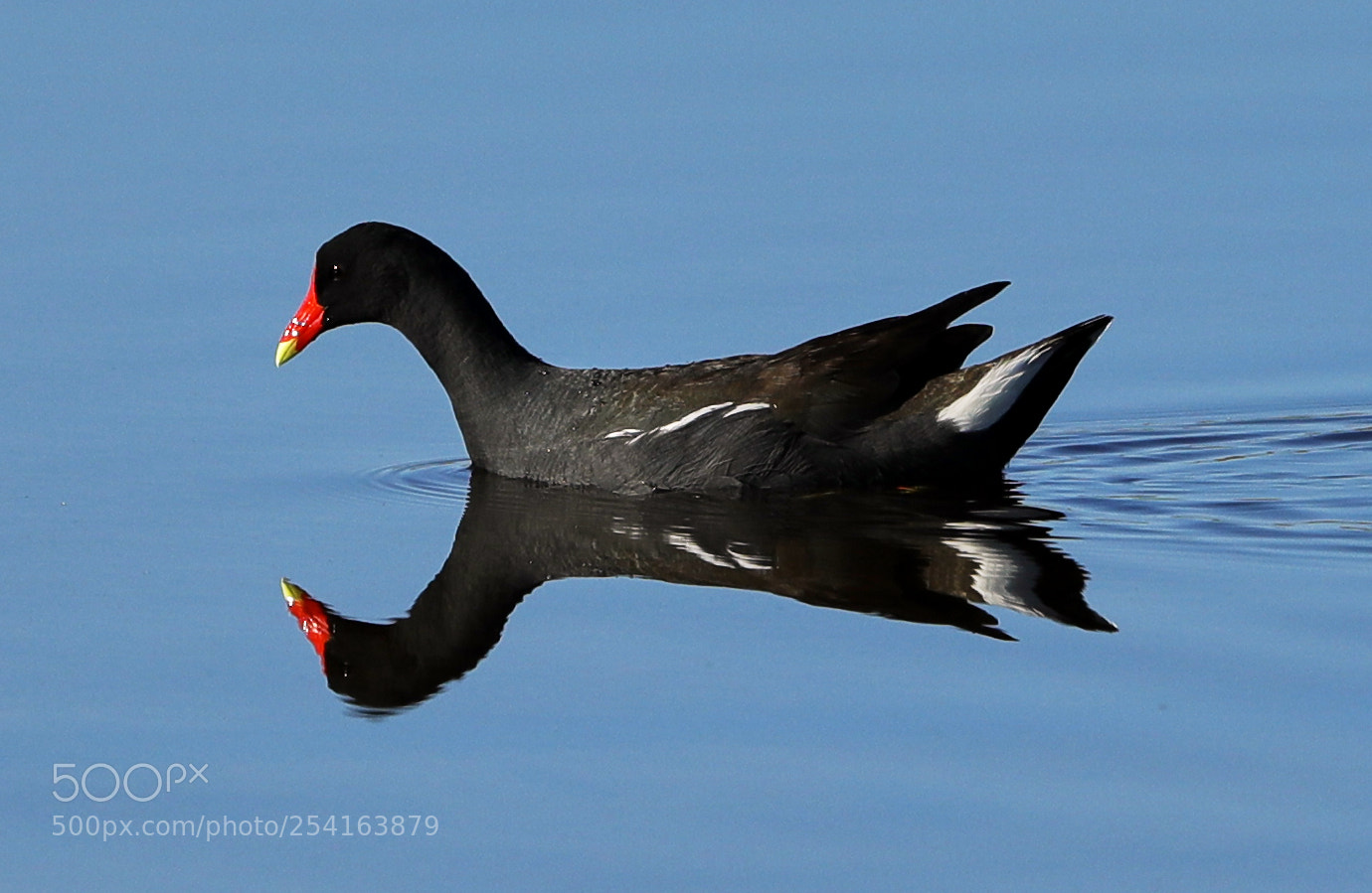 Canon EOS-1D X Mark II sample photo. 04-18-18-0013437.jpg photography