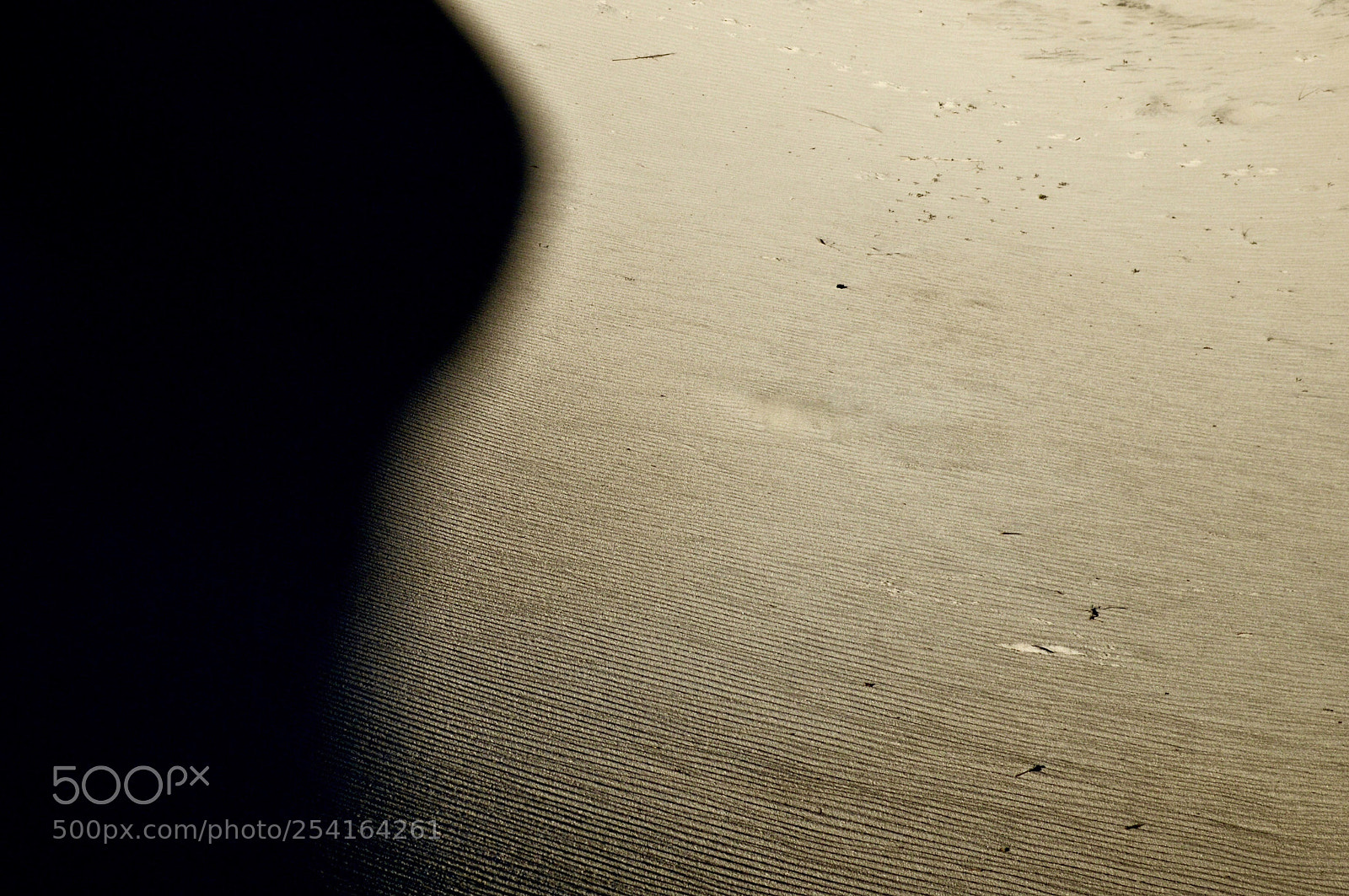 Nikon D3200 sample photo. Dunes vi photography