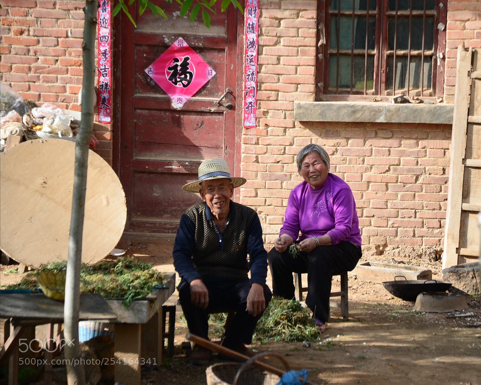 Nikon D7000 sample photo. Life in the countryside photography