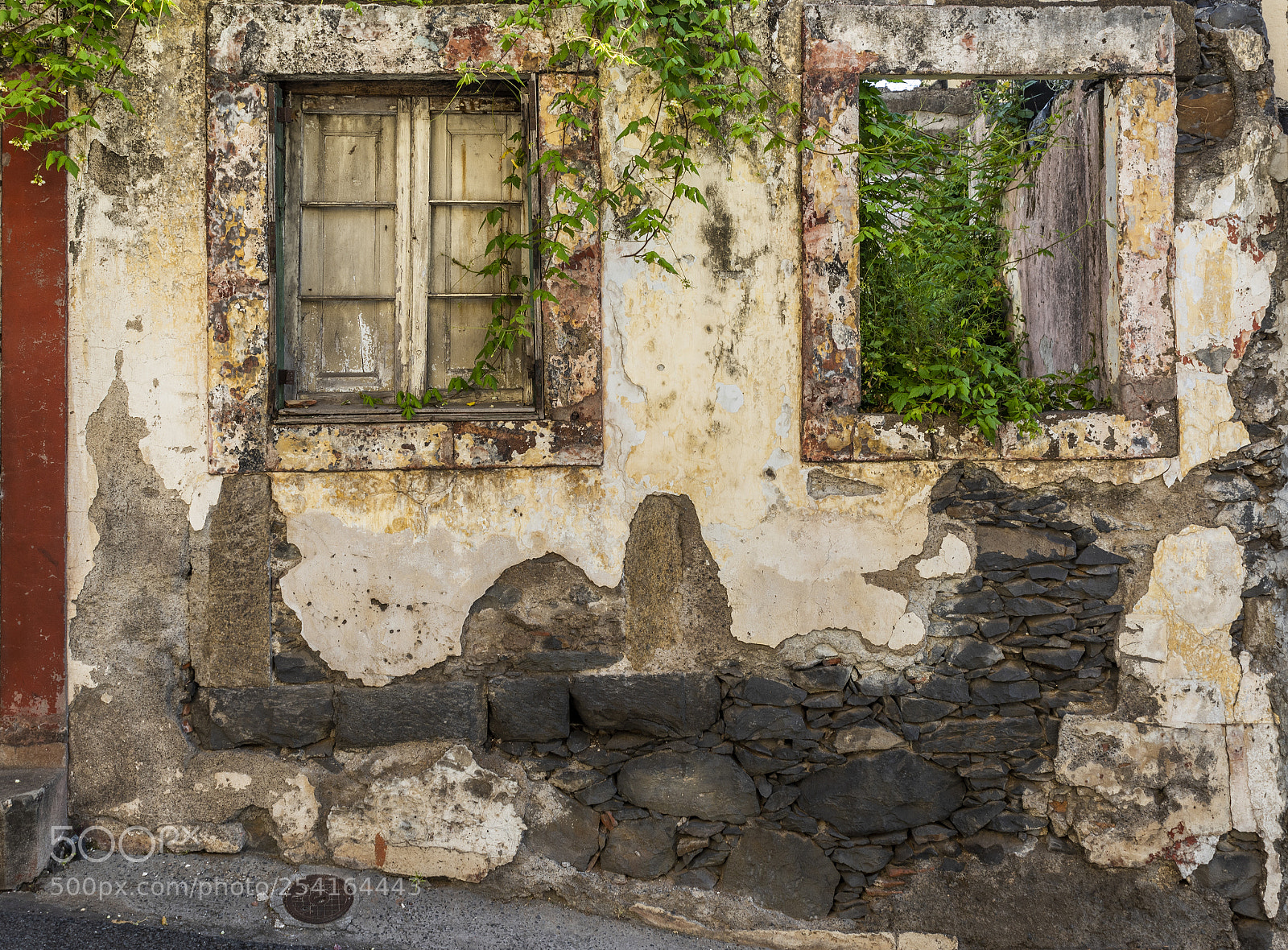 Nikon D810 sample photo. Untitled photography